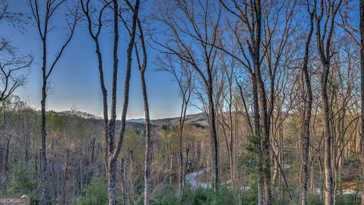 356 Mountain Trace