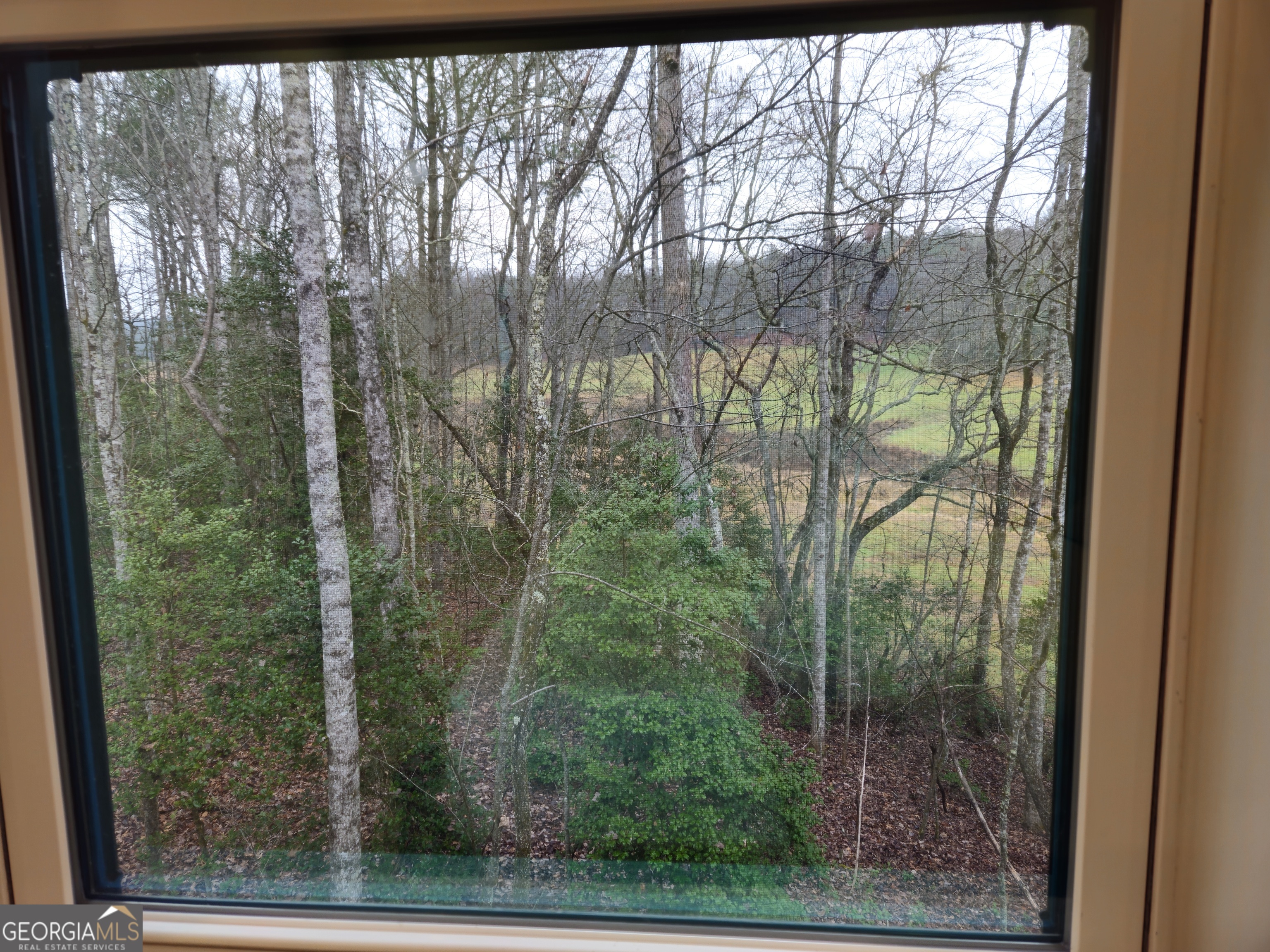 167 Happy Valley Lane # 3