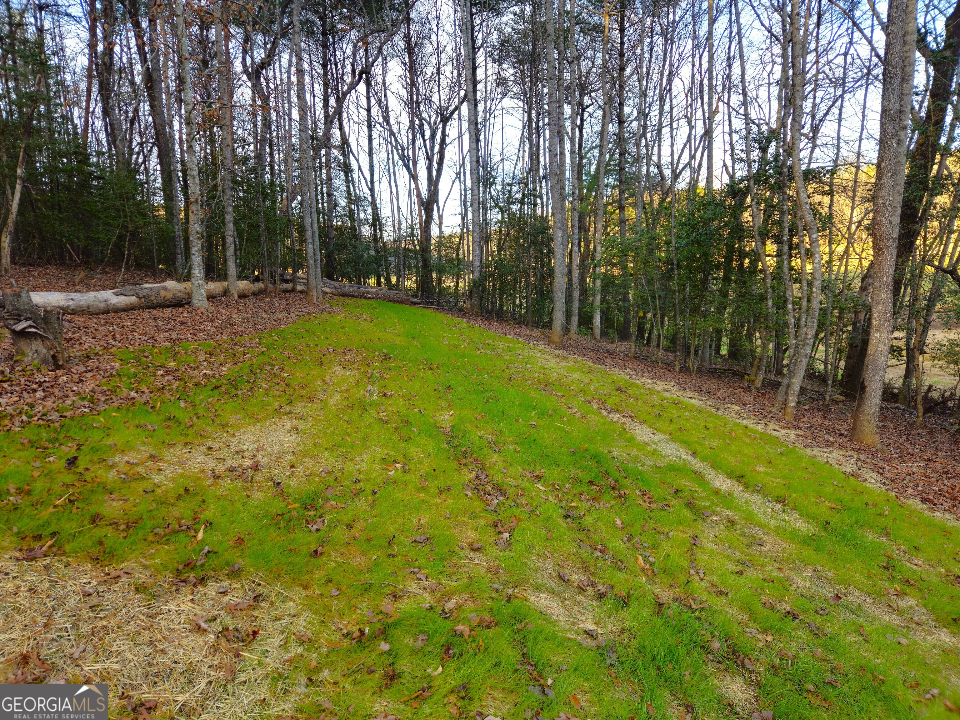 167 Happy Valley Lane # 3