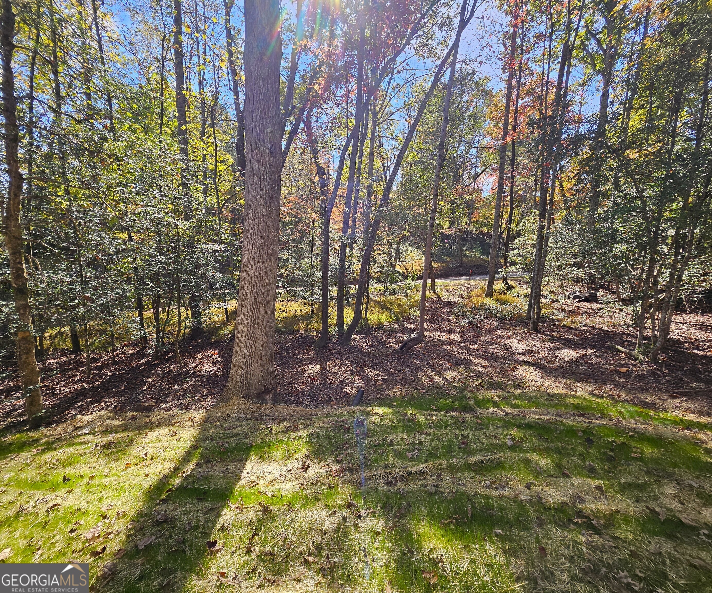 167 Happy Valley Lane # 3