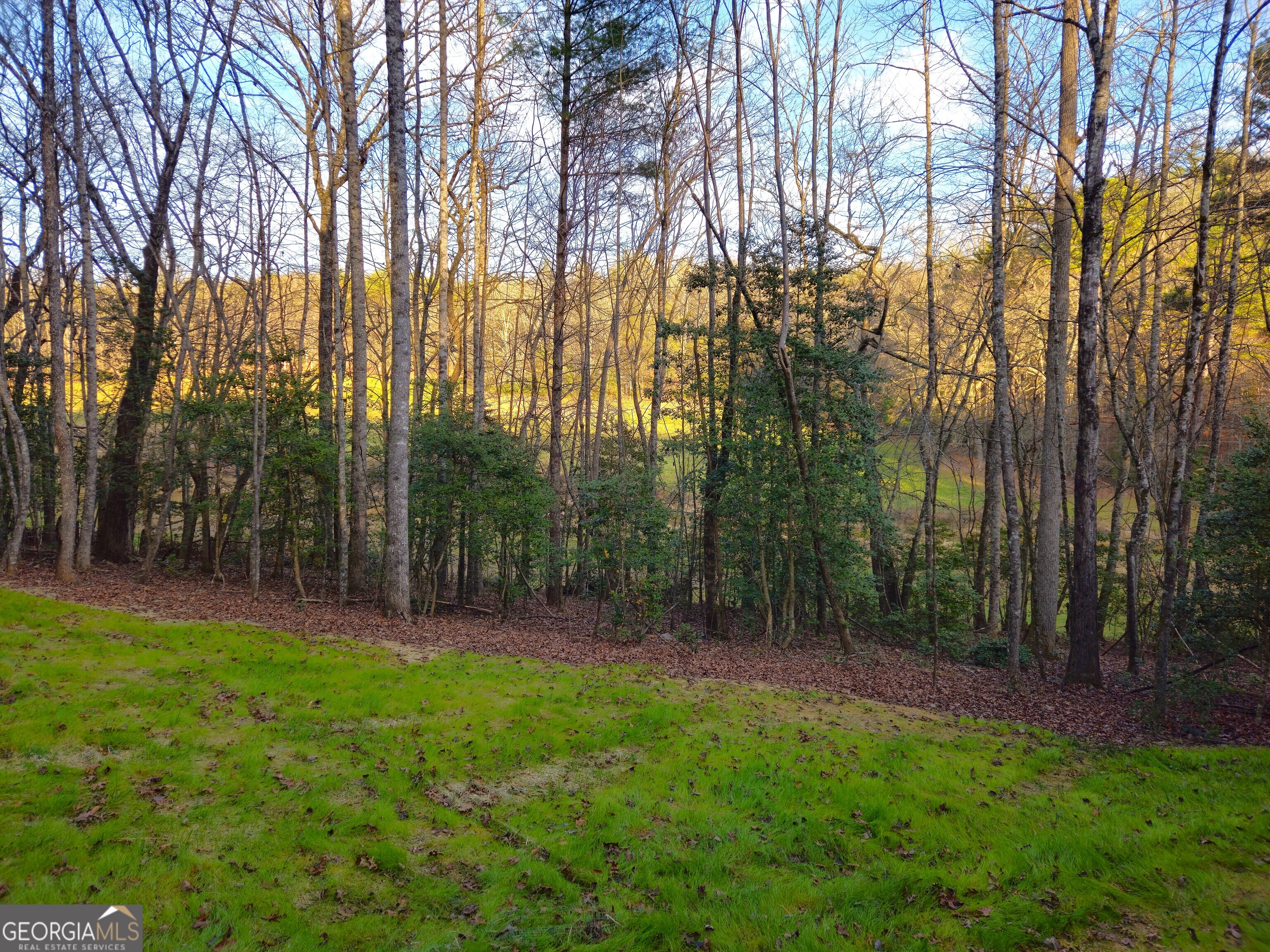 167 Happy Valley Lane # 3