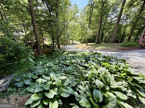238 Trails End Road