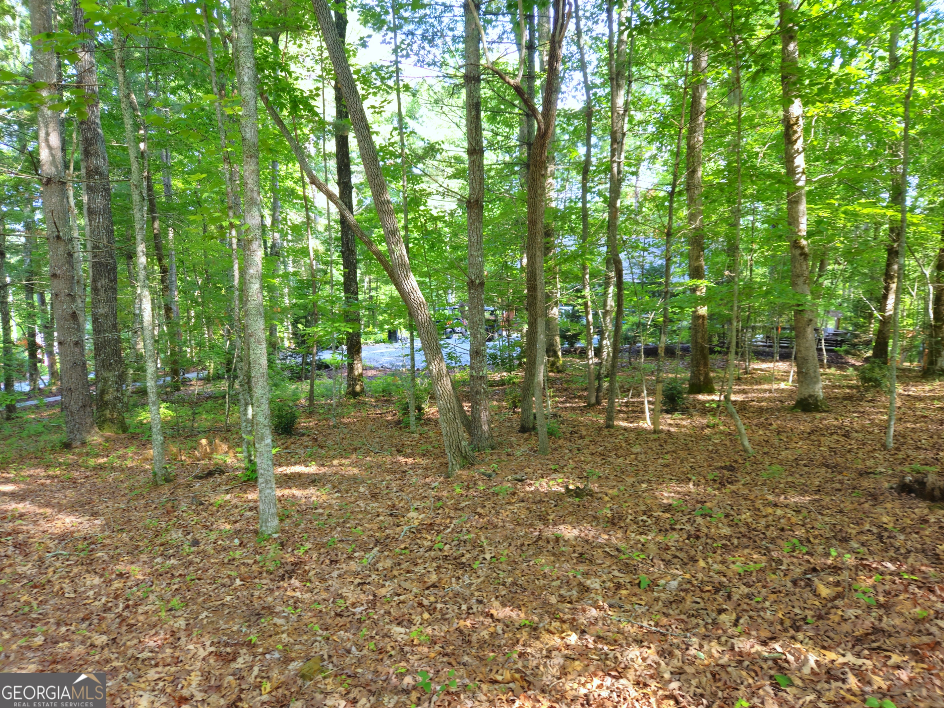 211 Winding Brook Trail