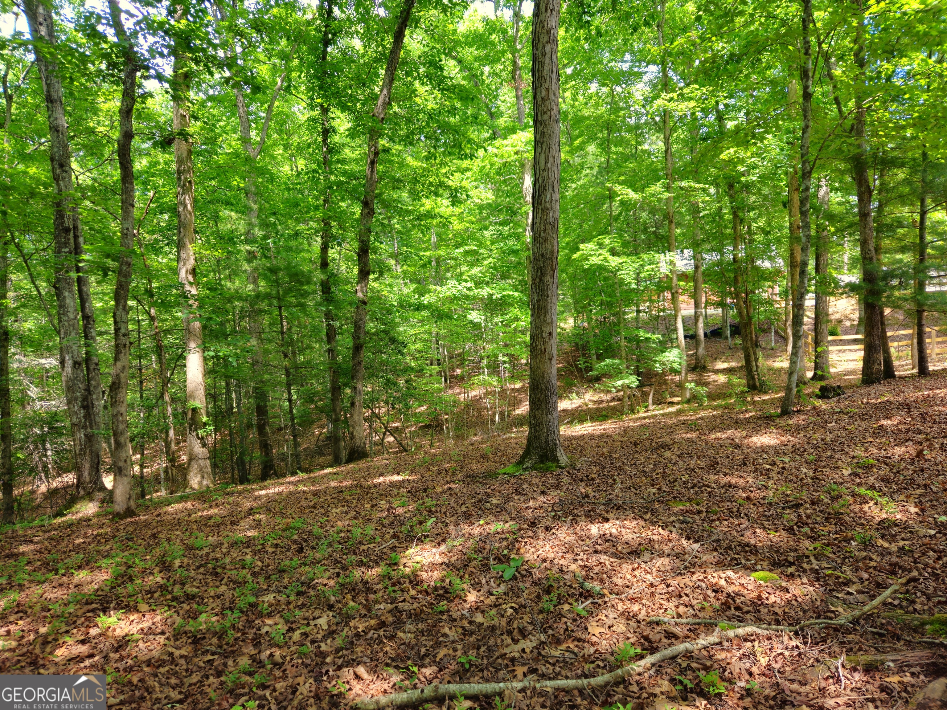 211 Winding Brook Trail