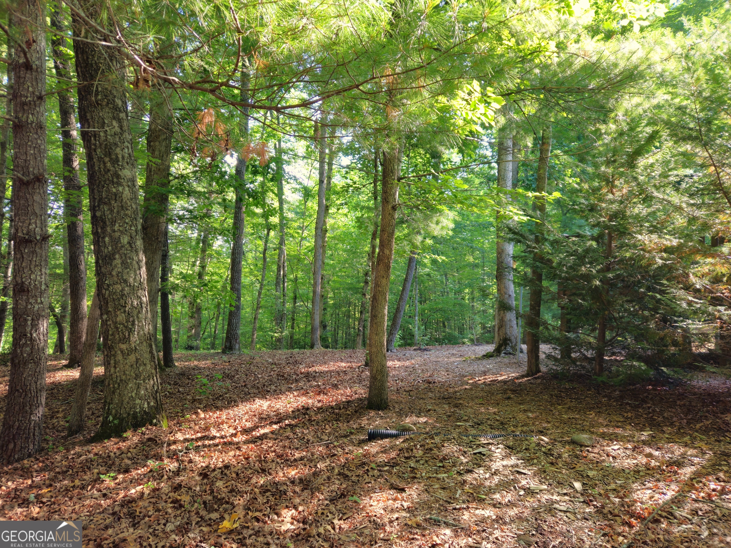 211 Winding Brook Trail