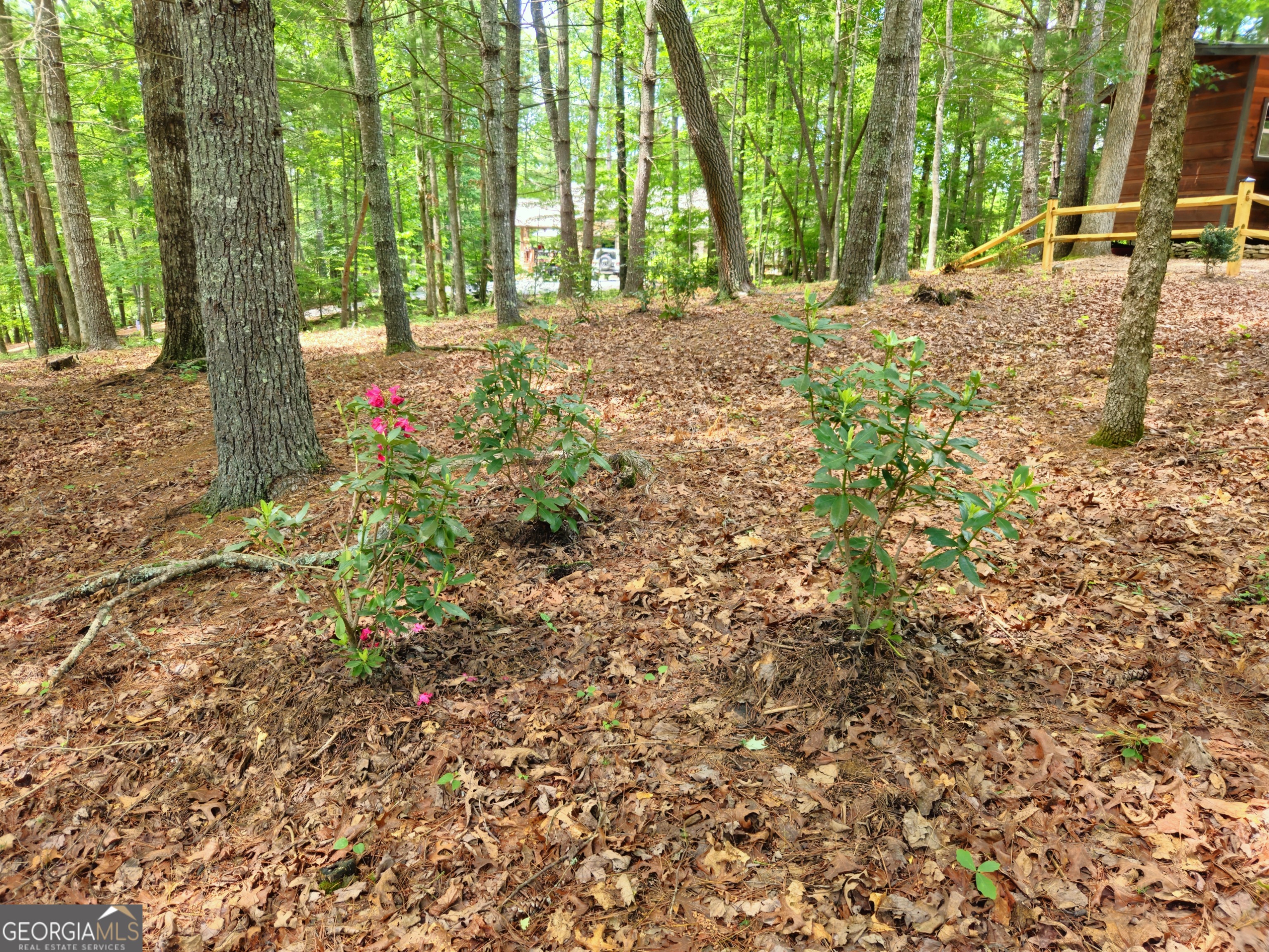 211 Winding Brook Trail