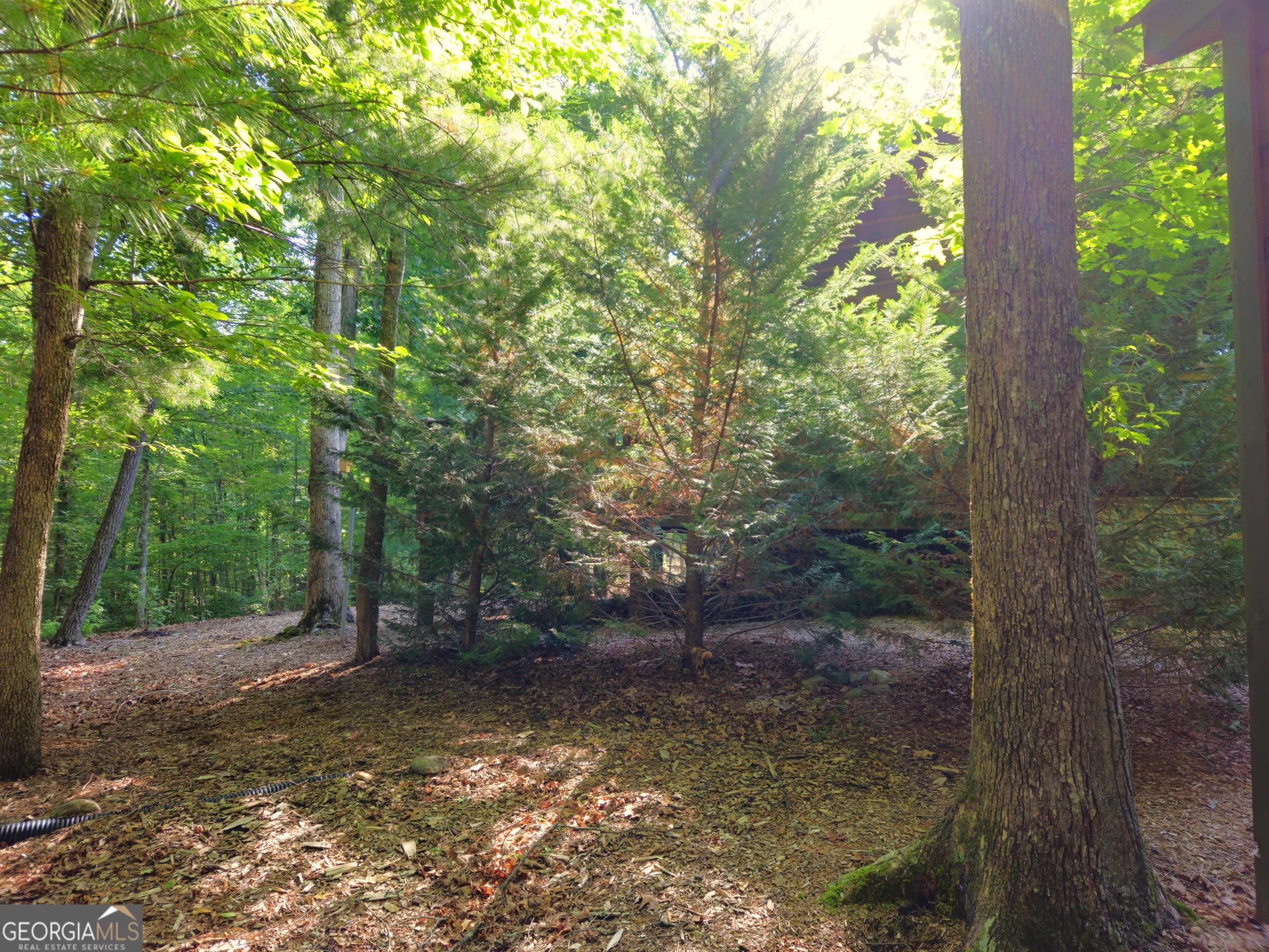 211 Winding Brook Trail
