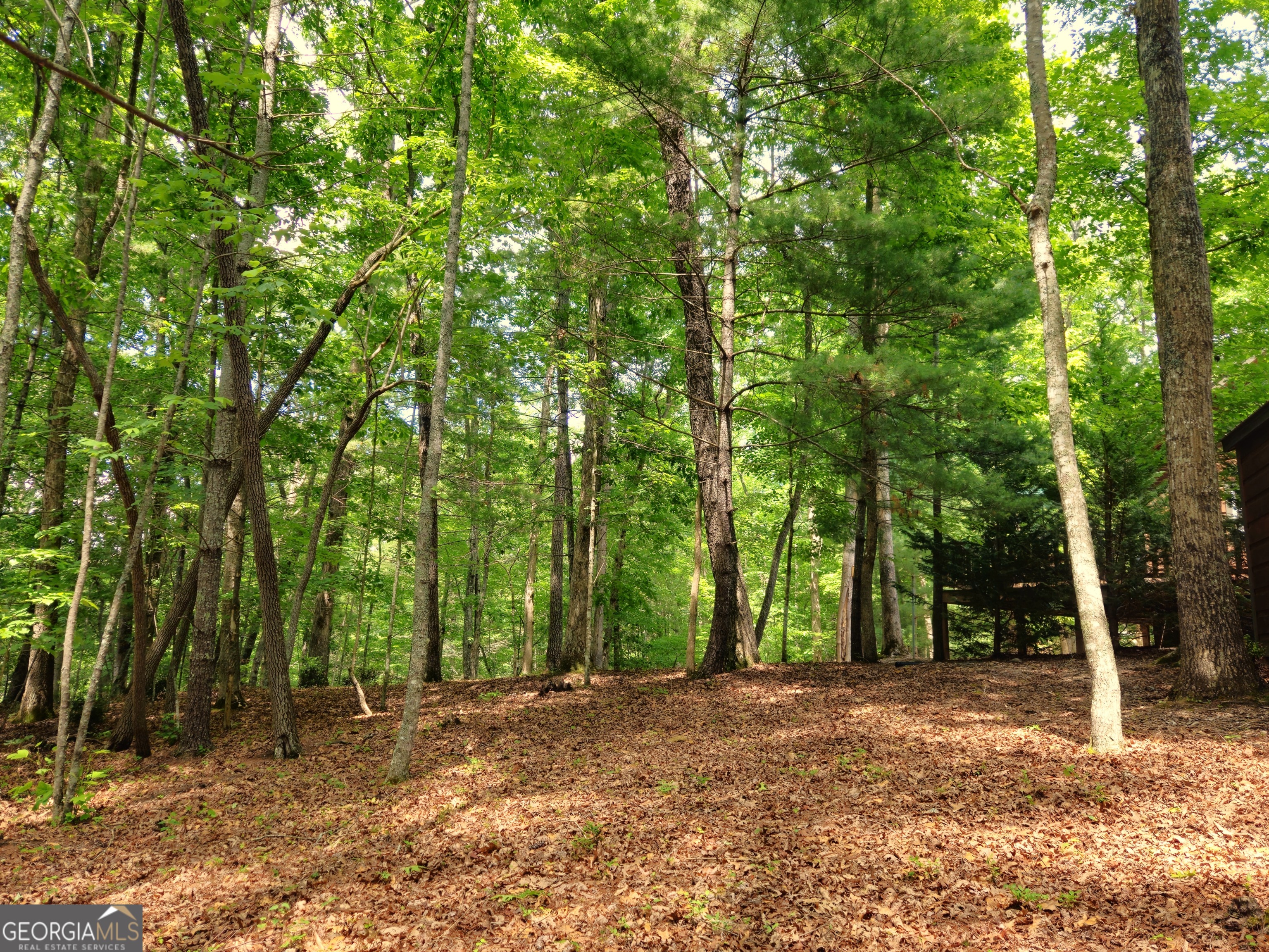 211 Winding Brook Trail