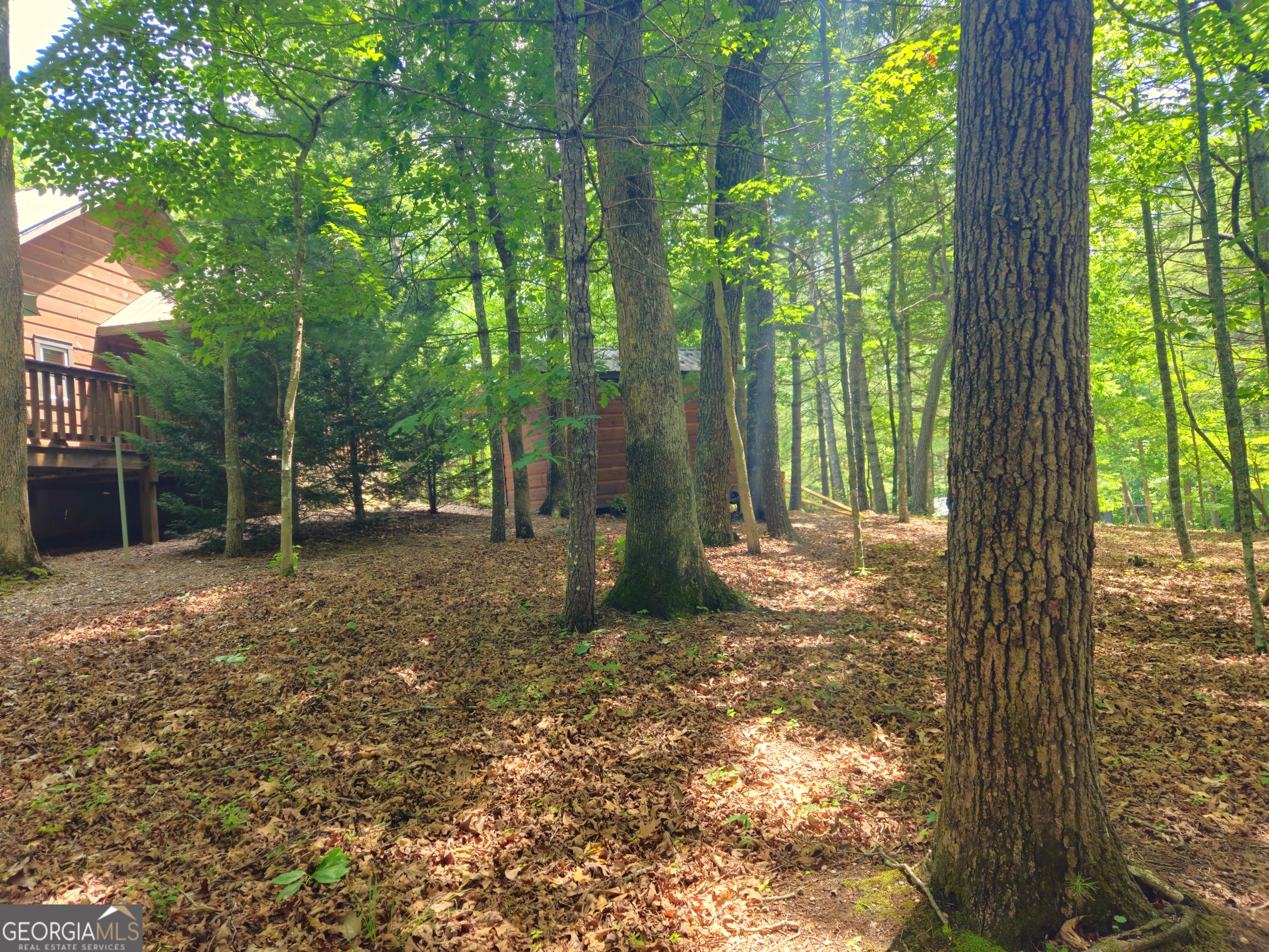 211 Winding Brook Trail