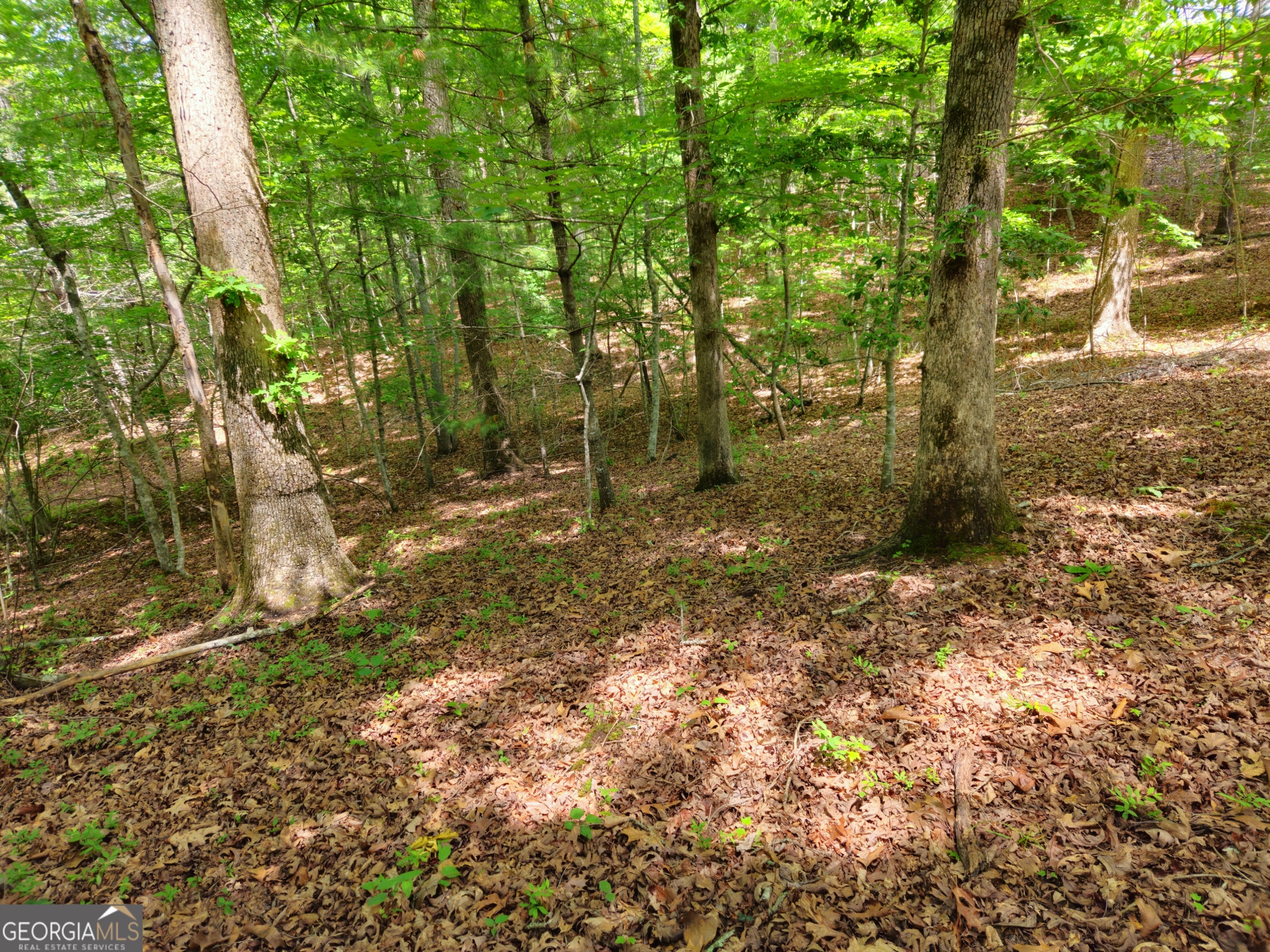 211 Winding Brook Trail
