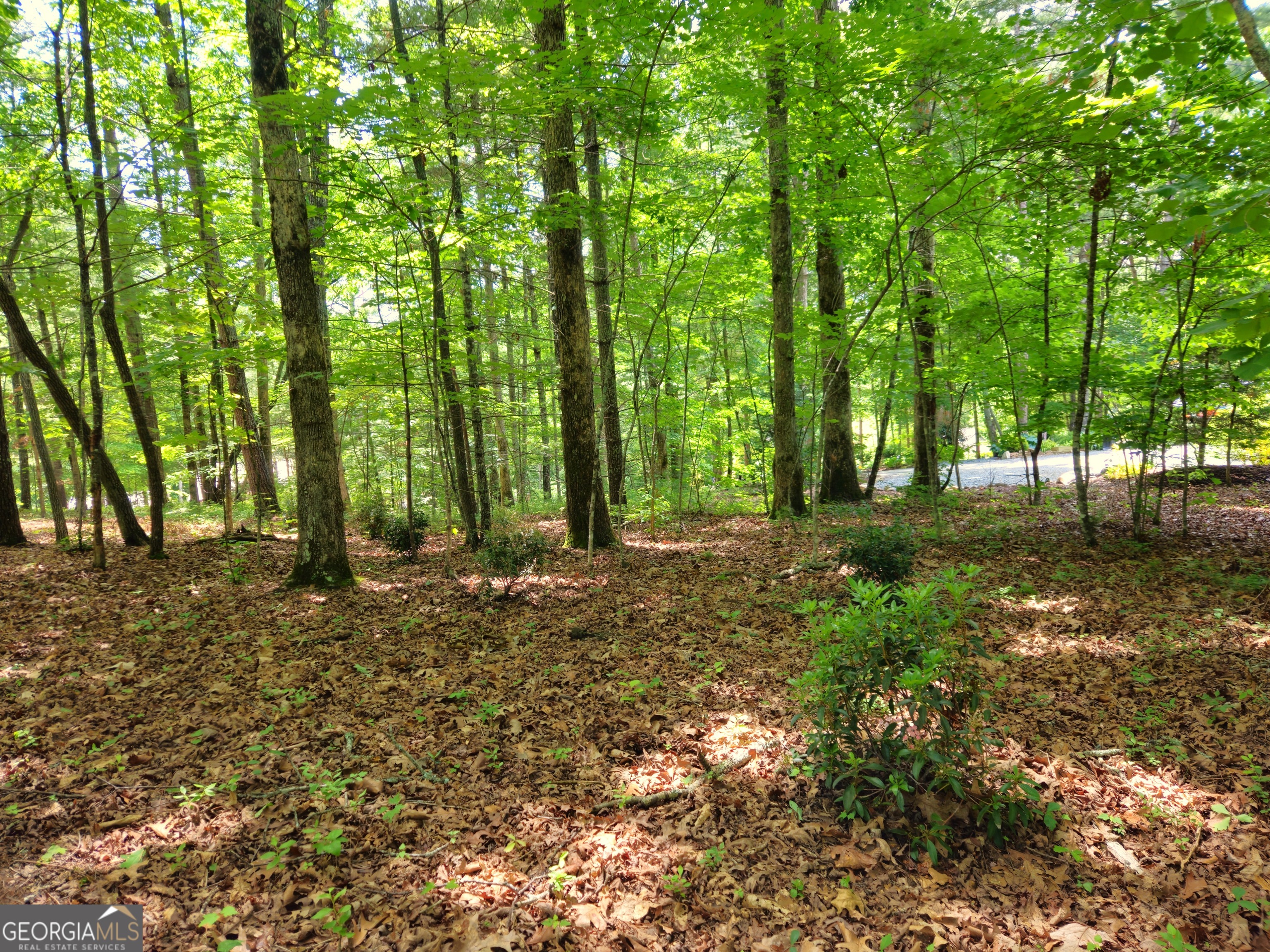 211 Winding Brook Trail