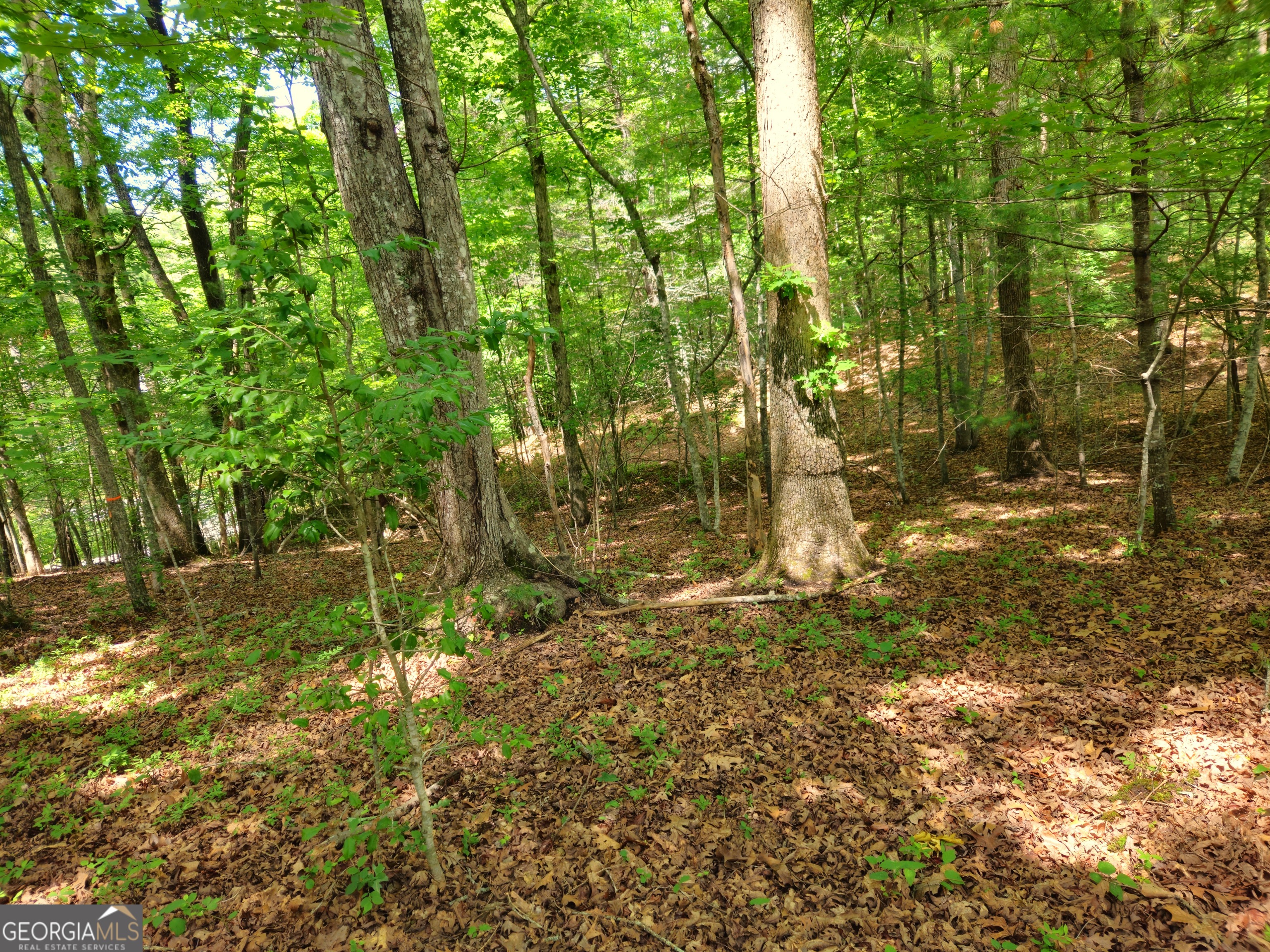 211 Winding Brook Trail