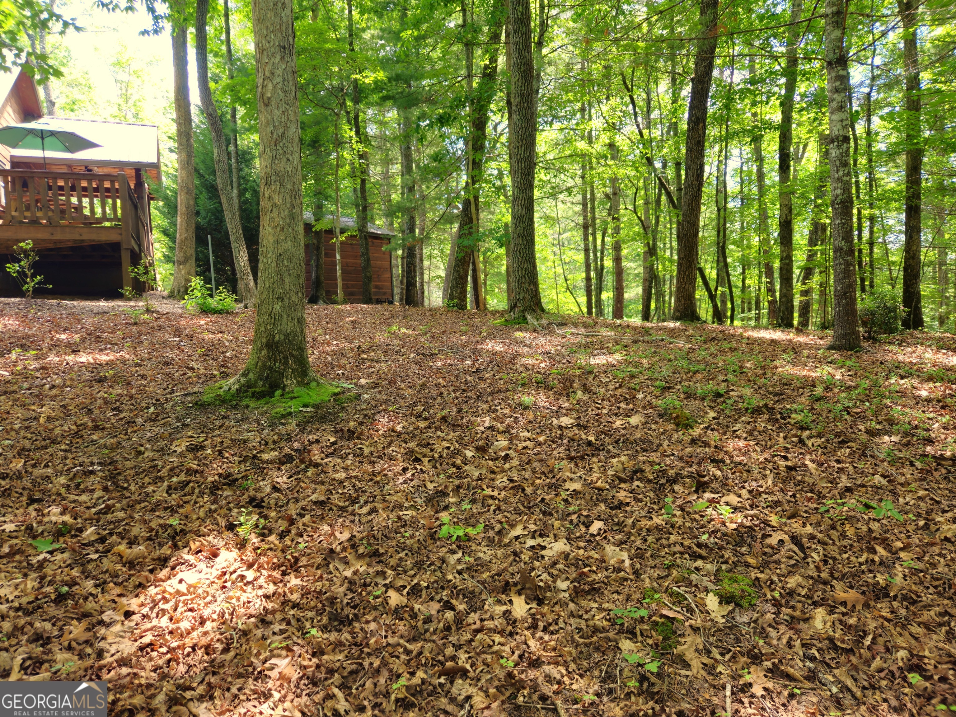 211 Winding Brook Trail