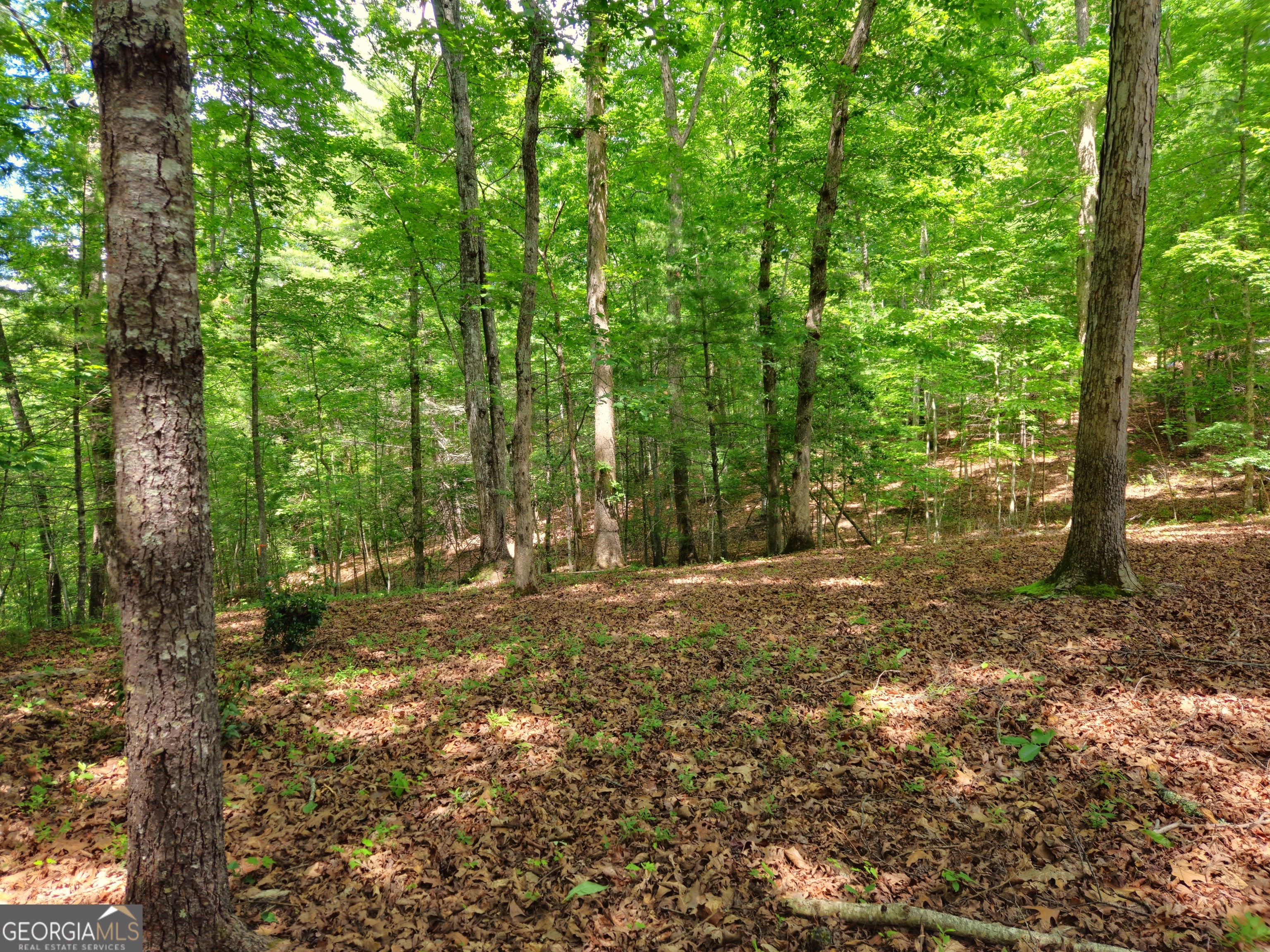 211 Winding Brook Trail