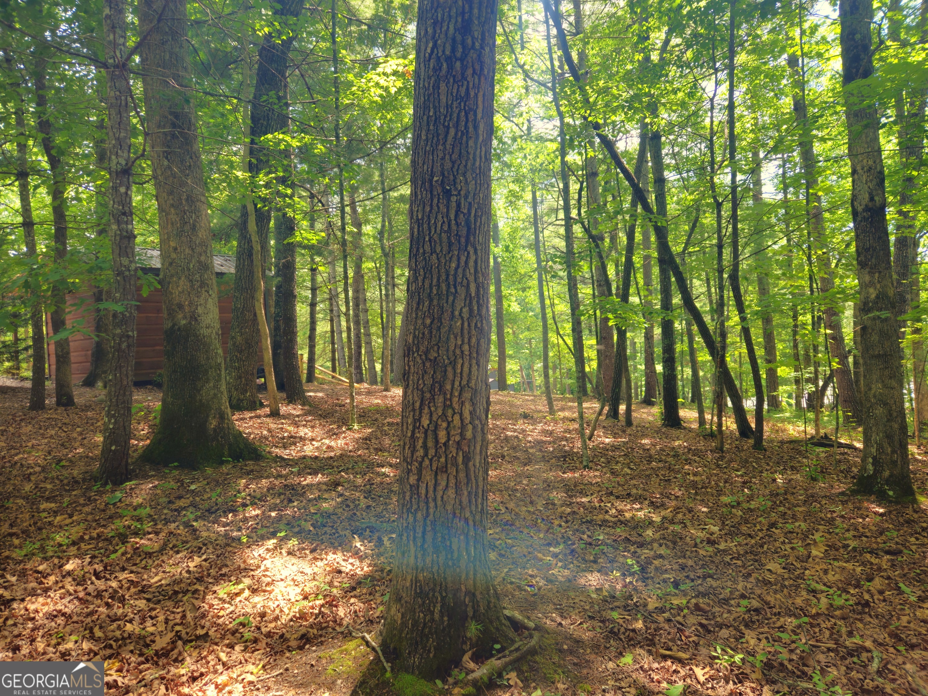 211 Winding Brook Trail