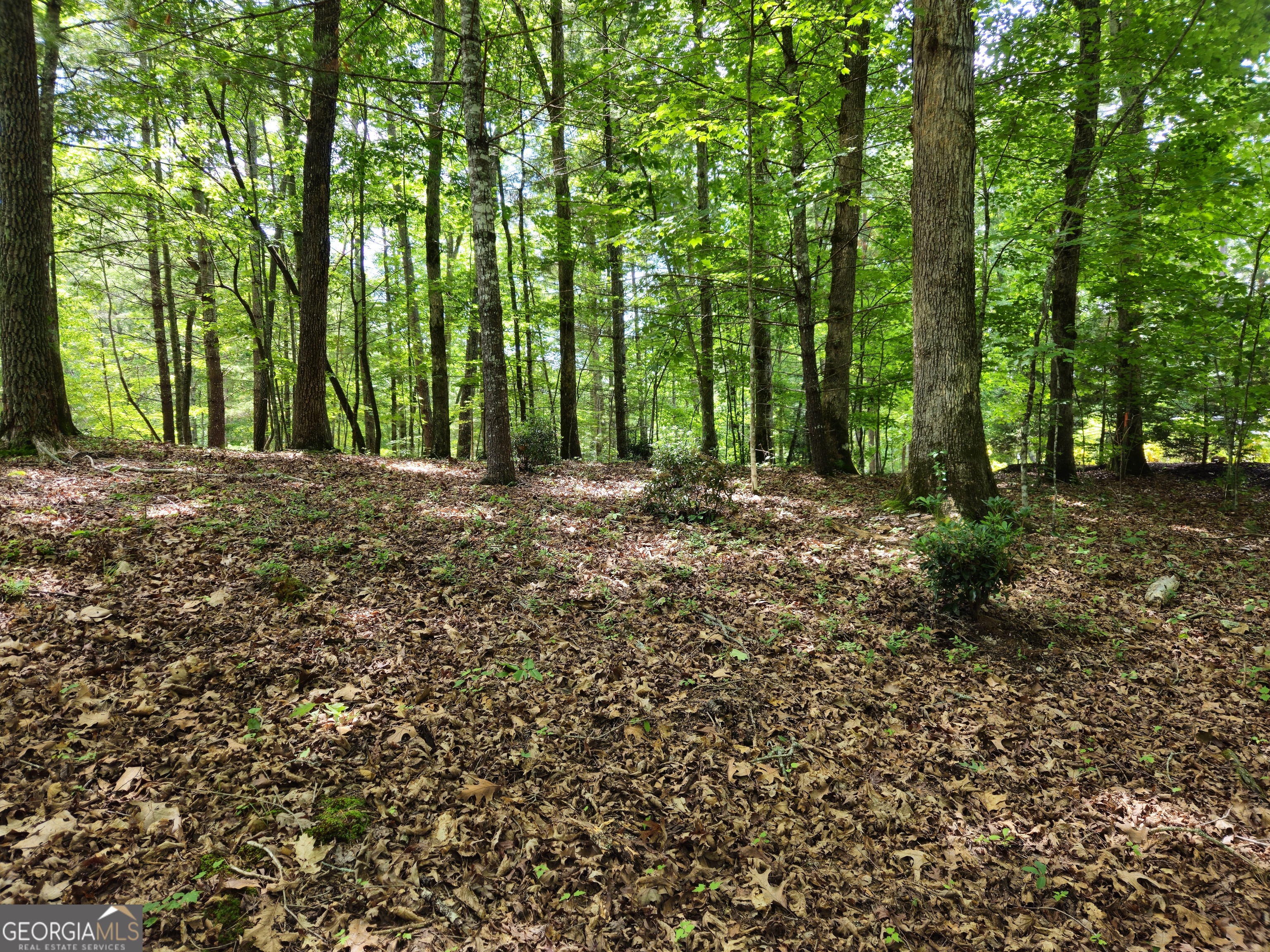 211 Winding Brook Trail