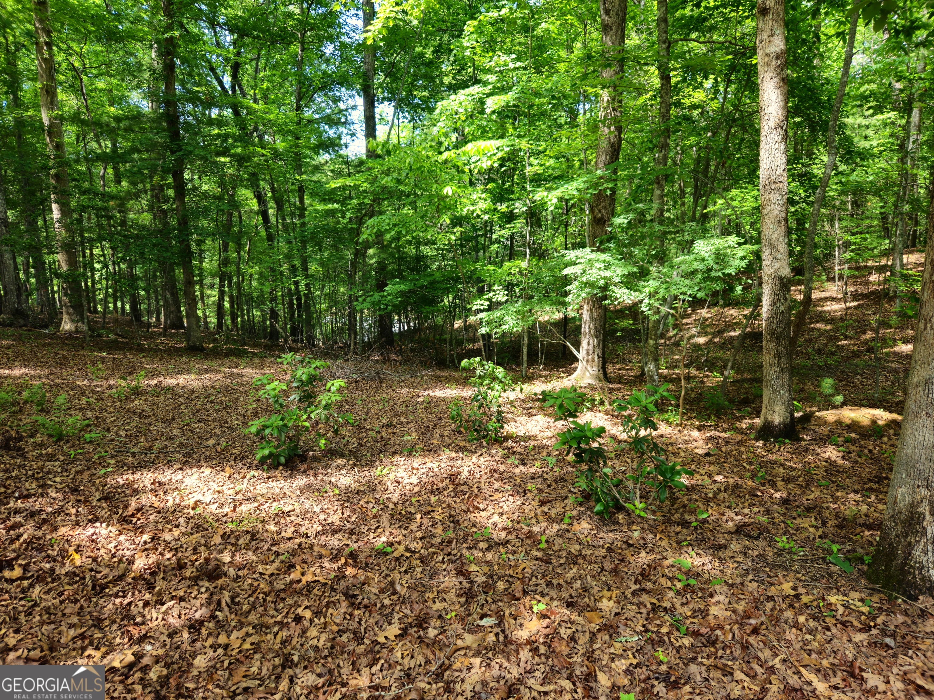 211 Winding Brook Trail
