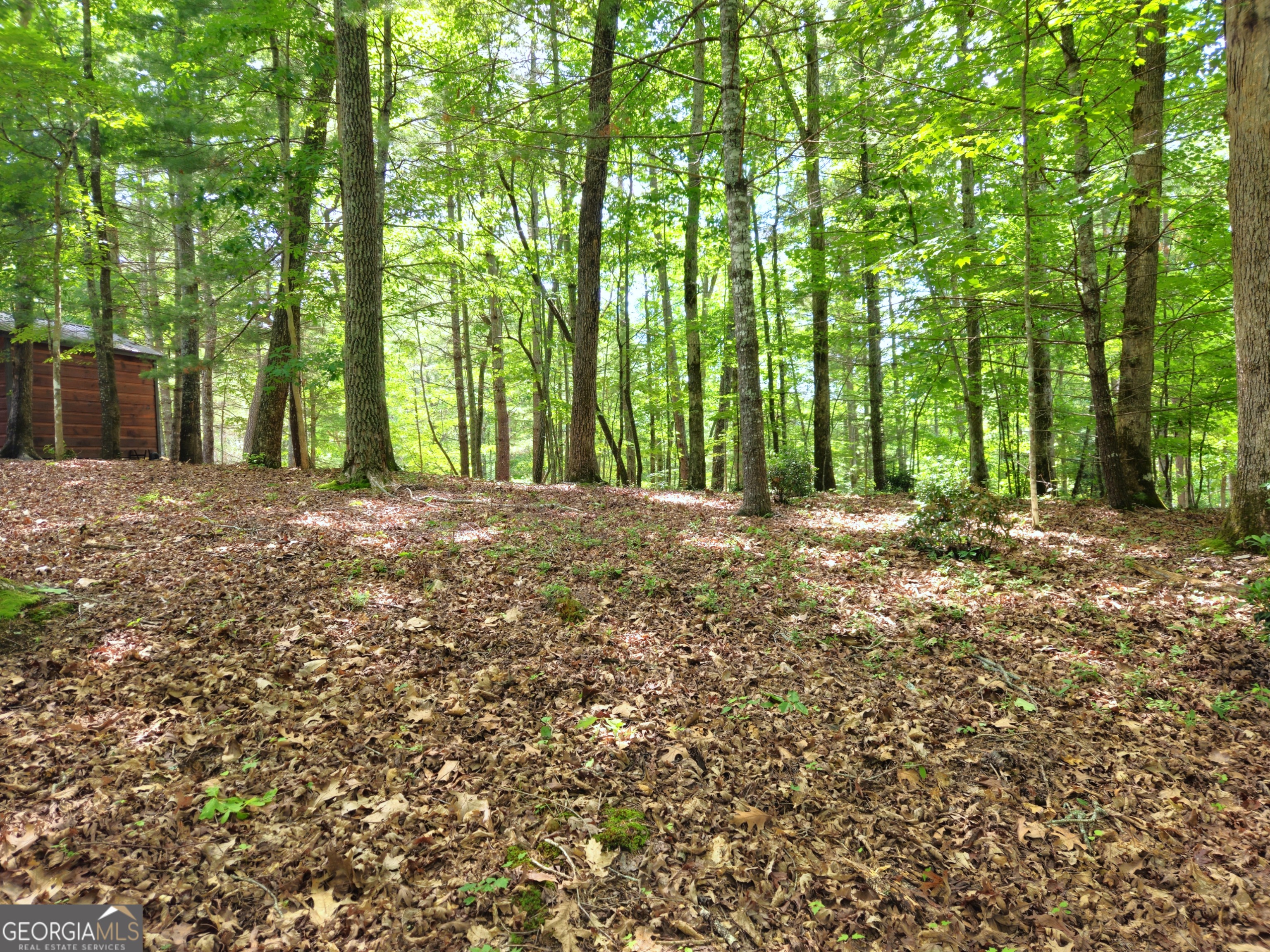 211 Winding Brook Trail