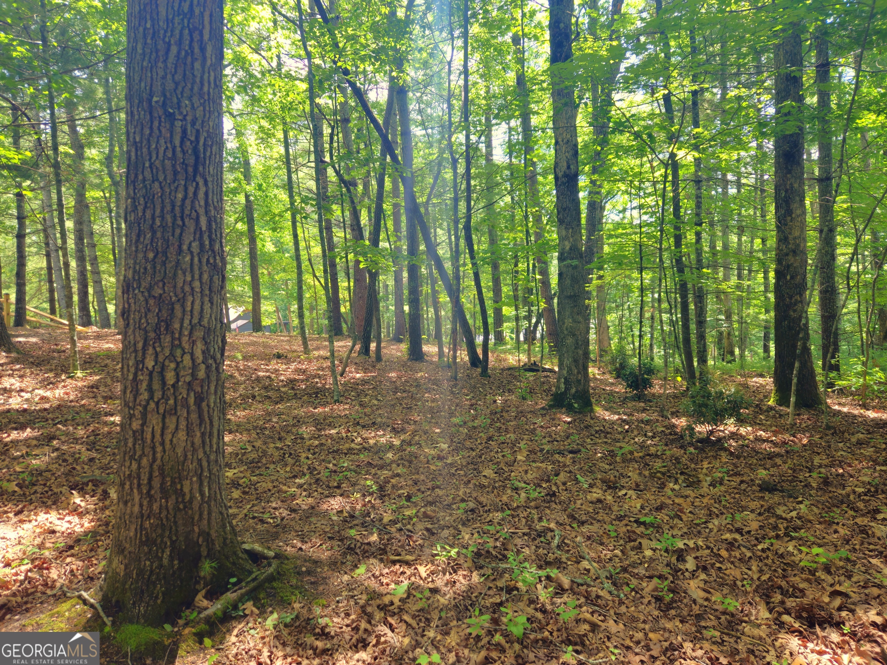 211 Winding Brook Trail