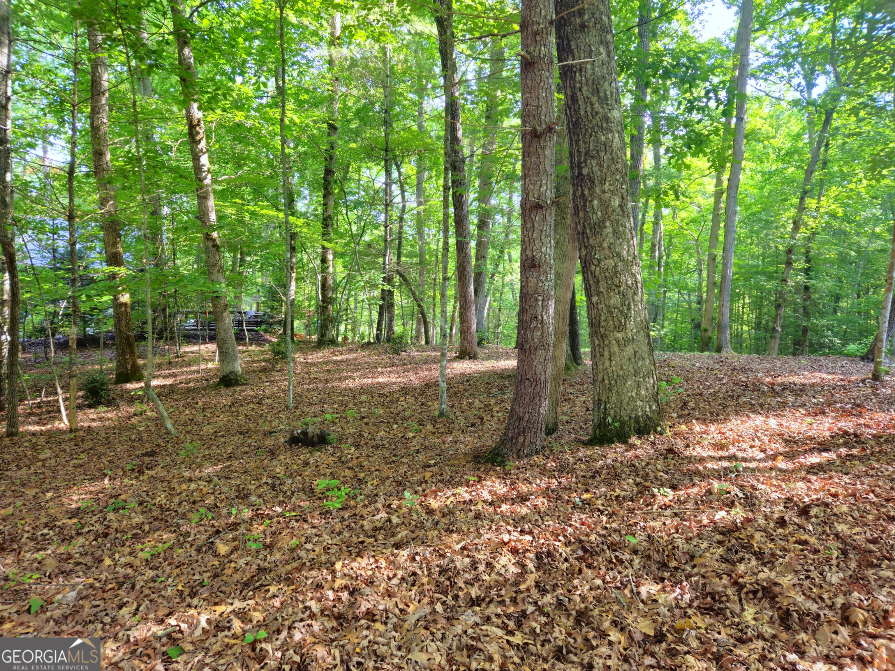 211 Winding Brook Trail