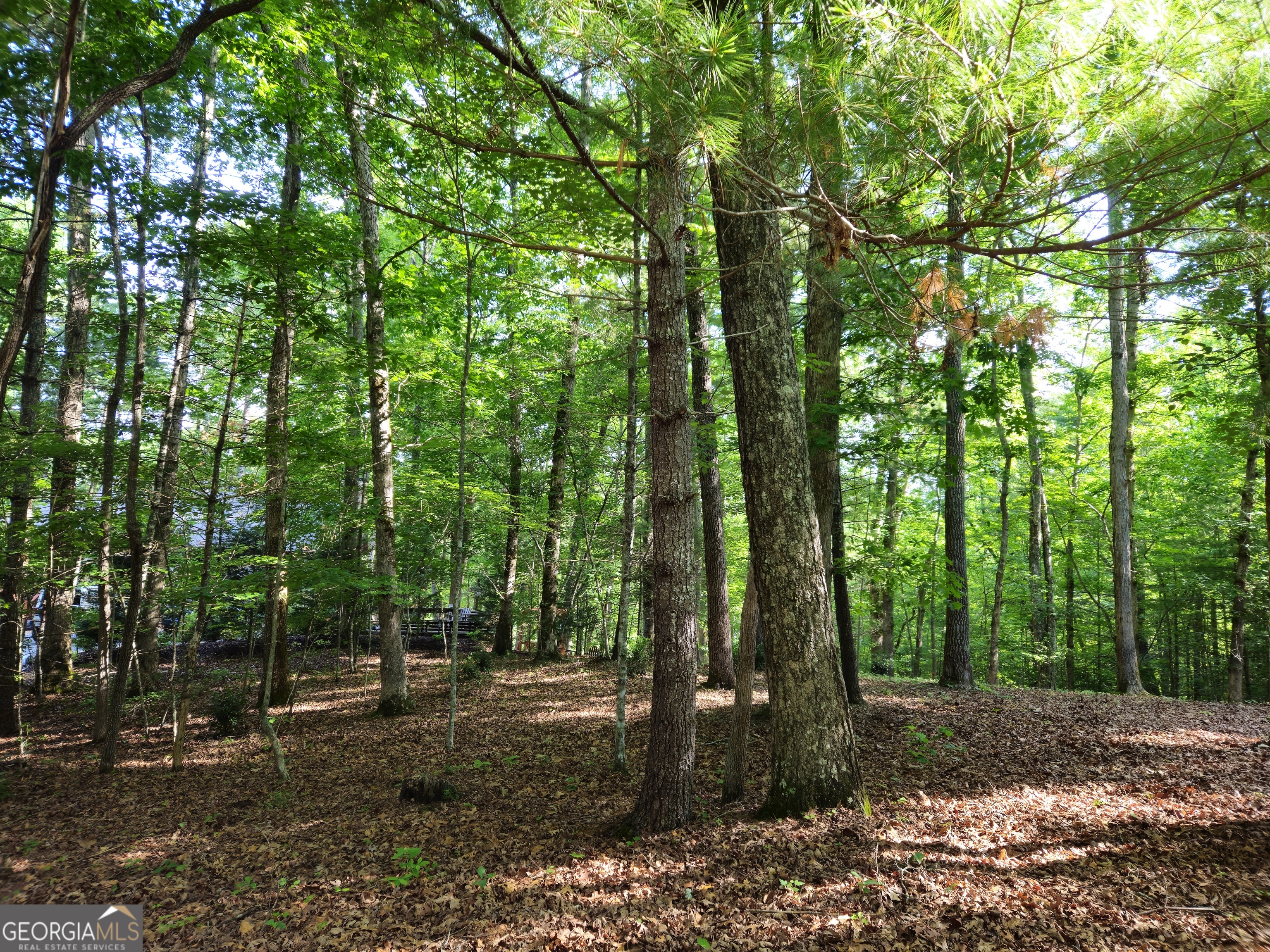 211 Winding Brook Trail