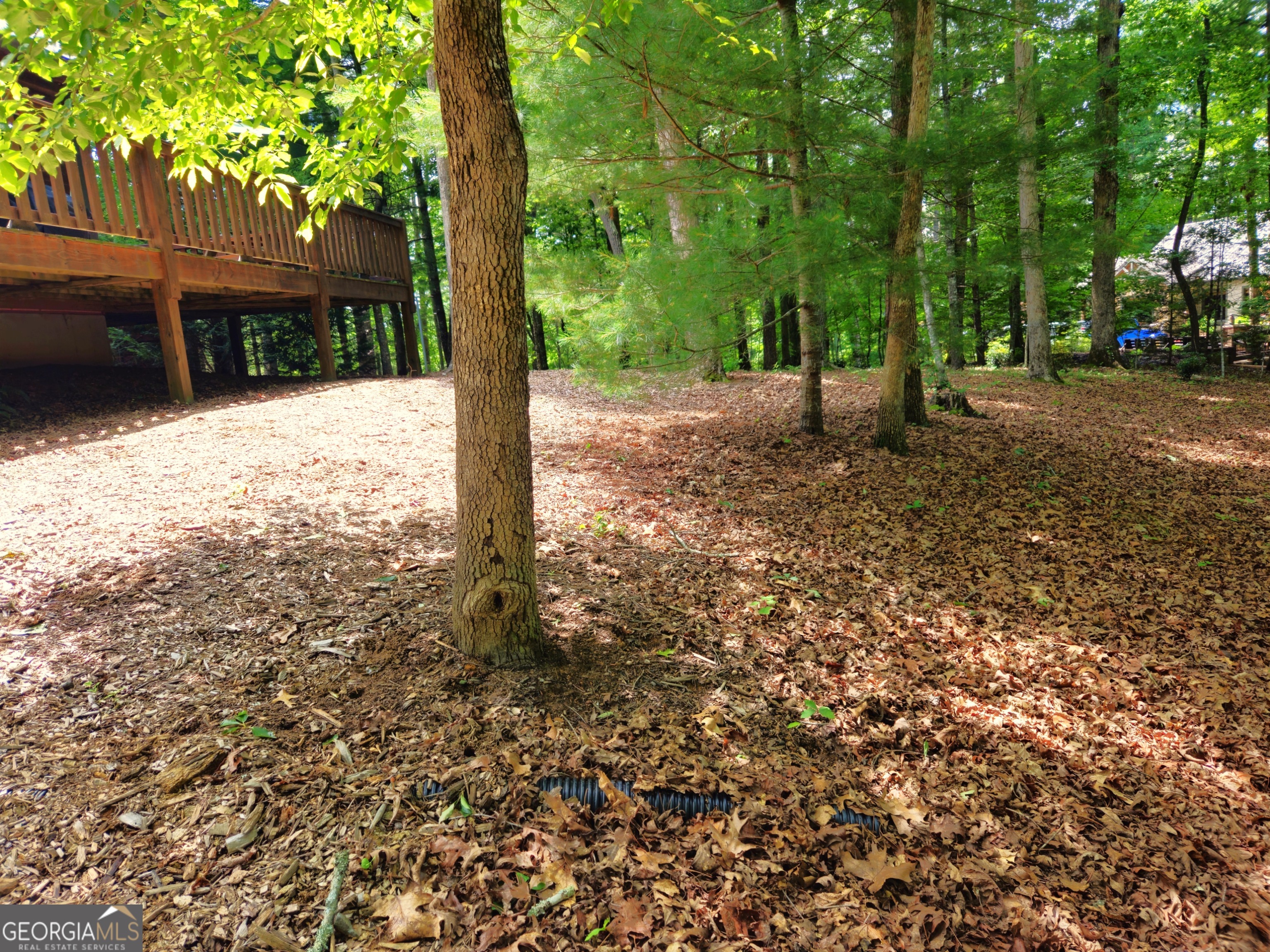 211 Winding Brook Trail