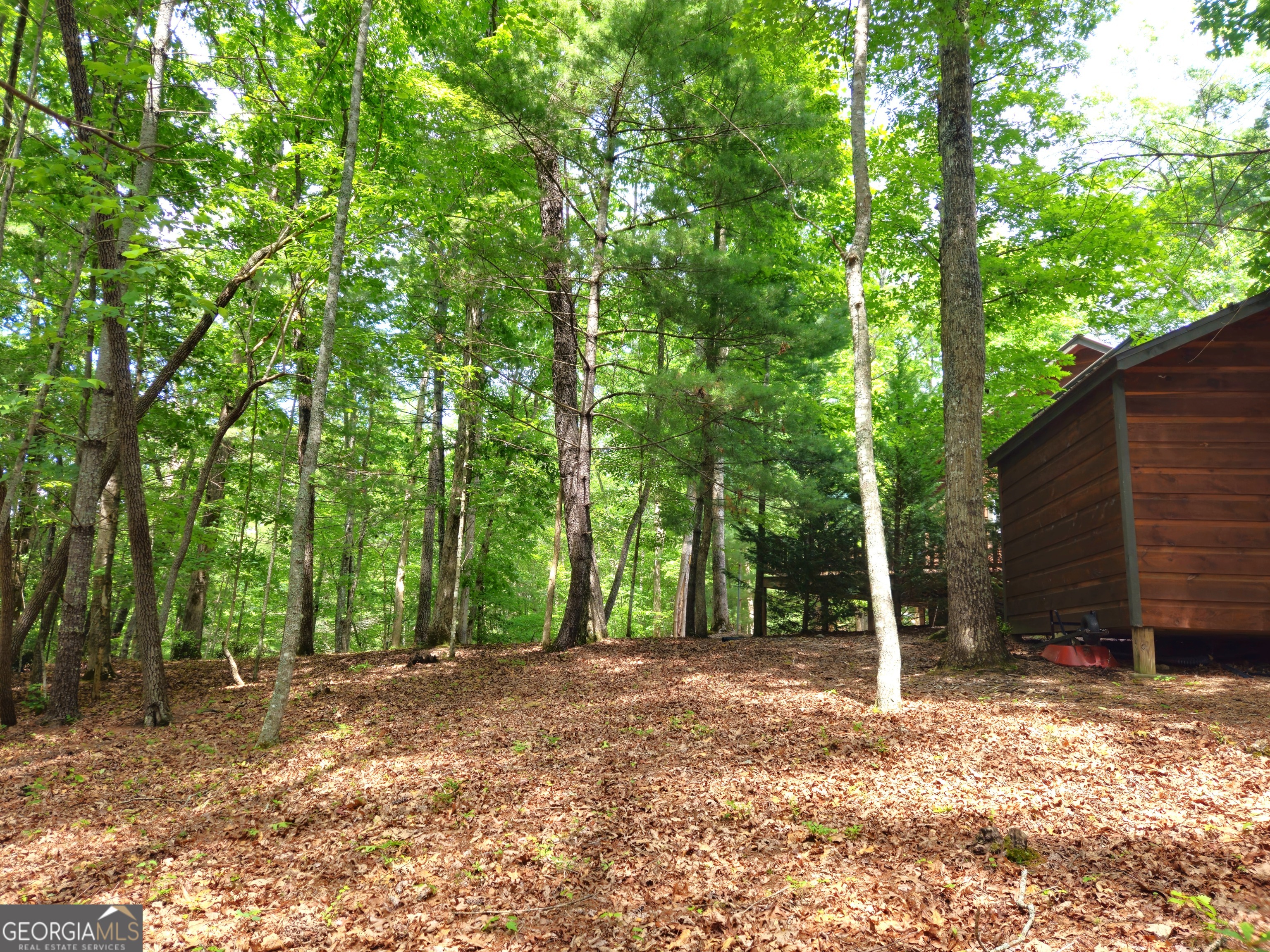 211 Winding Brook Trail