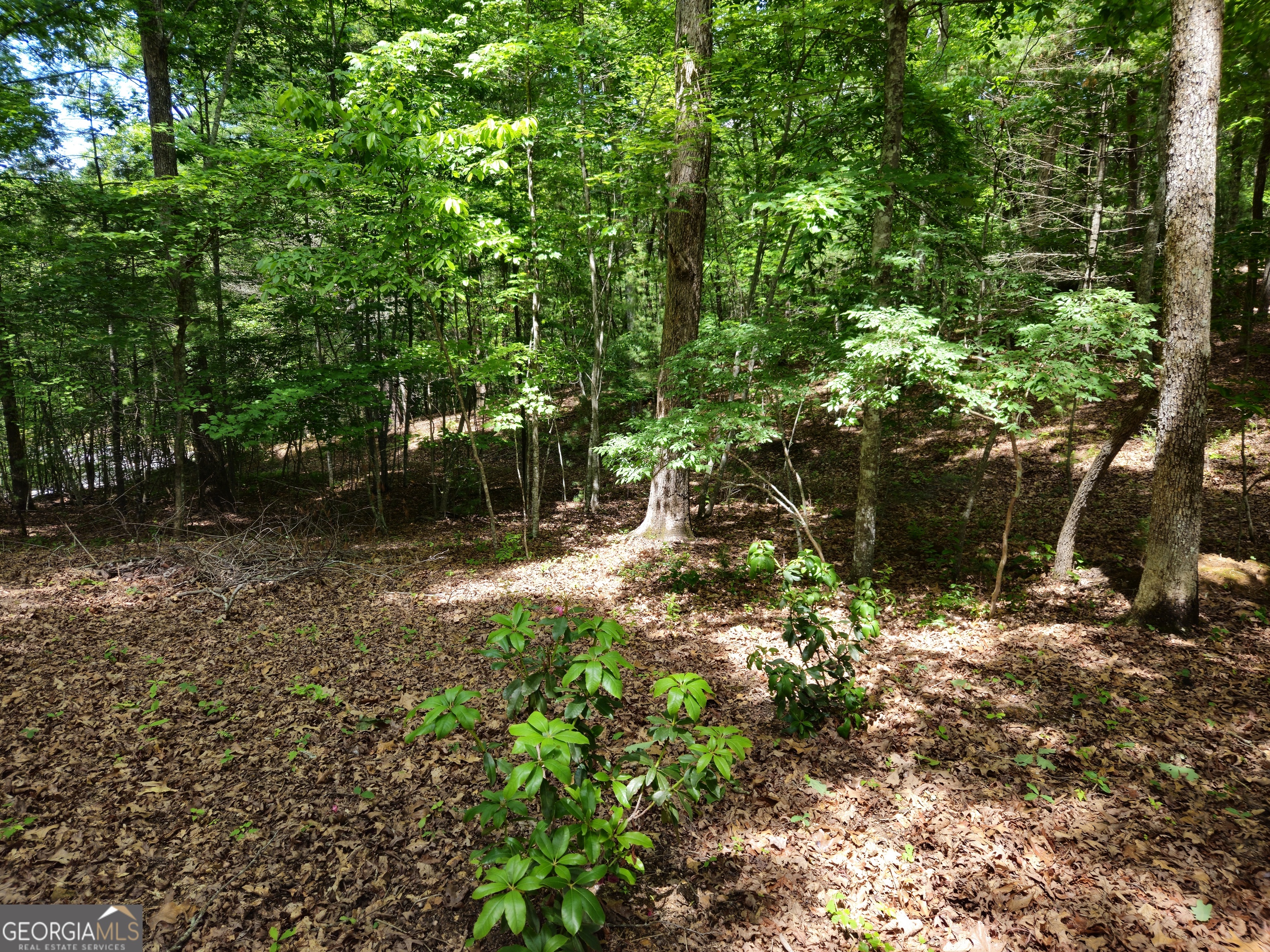 211 Winding Brook Trail