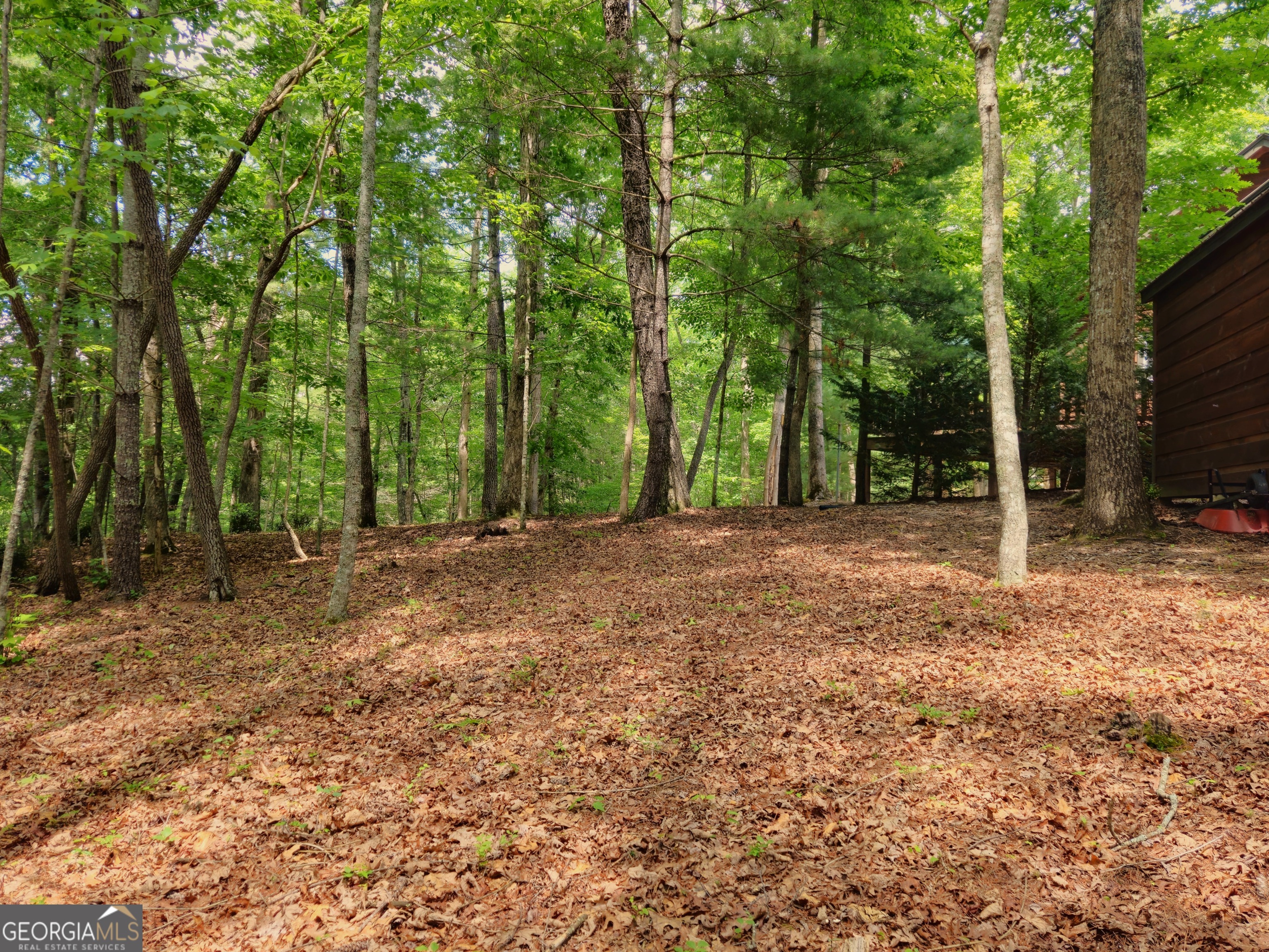 211 Winding Brook Trail