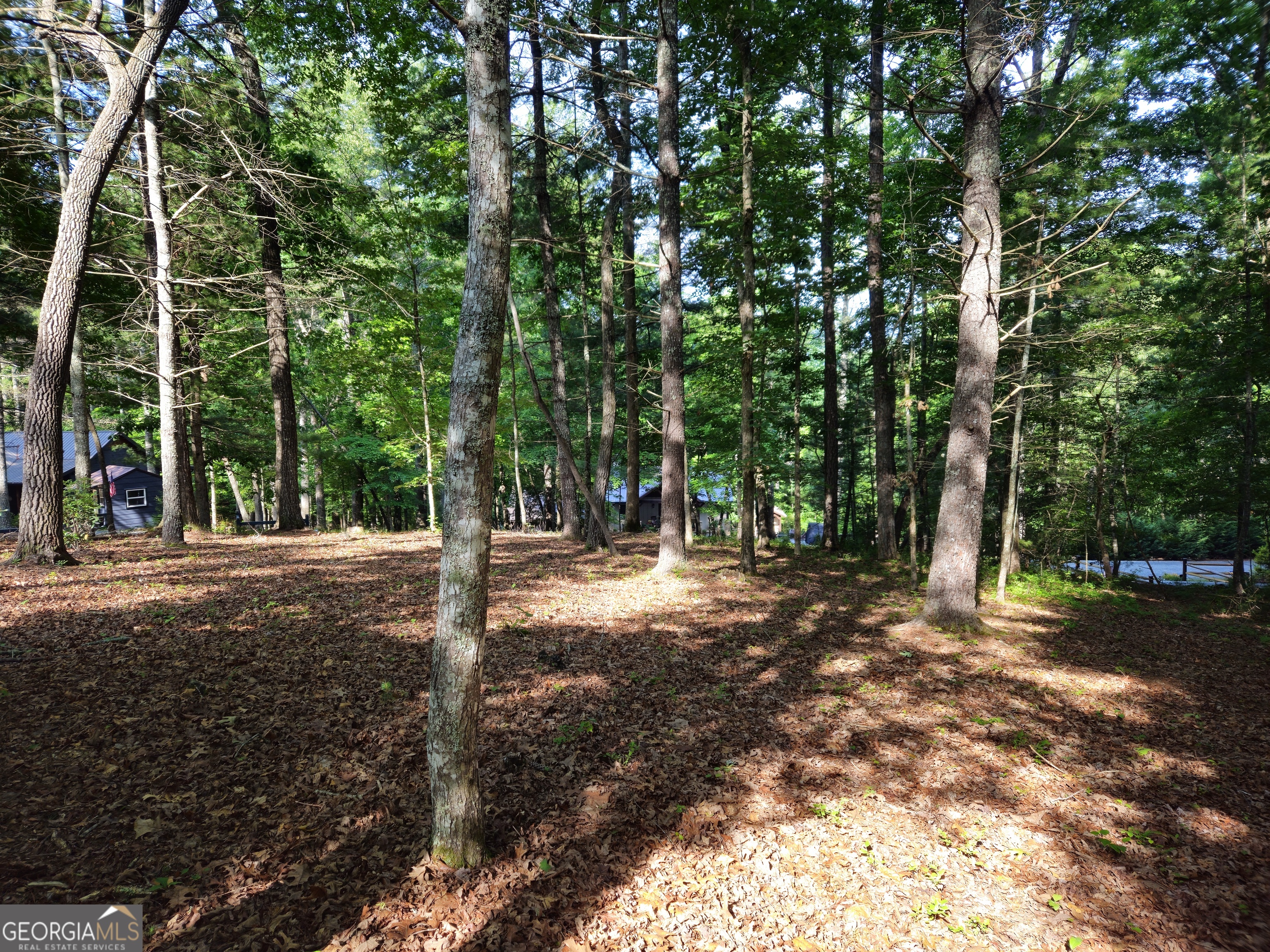 211 Winding Brook Trail