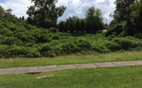 56 Depot Road