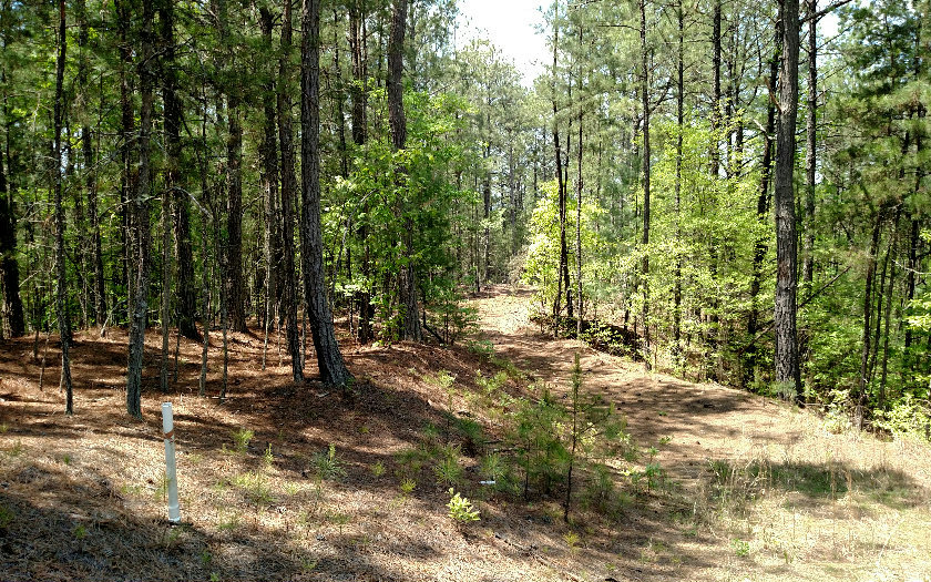L-23 Highland Woods Road