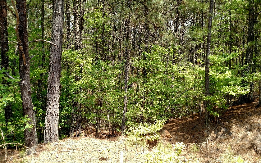 L-25 Highland Woods
