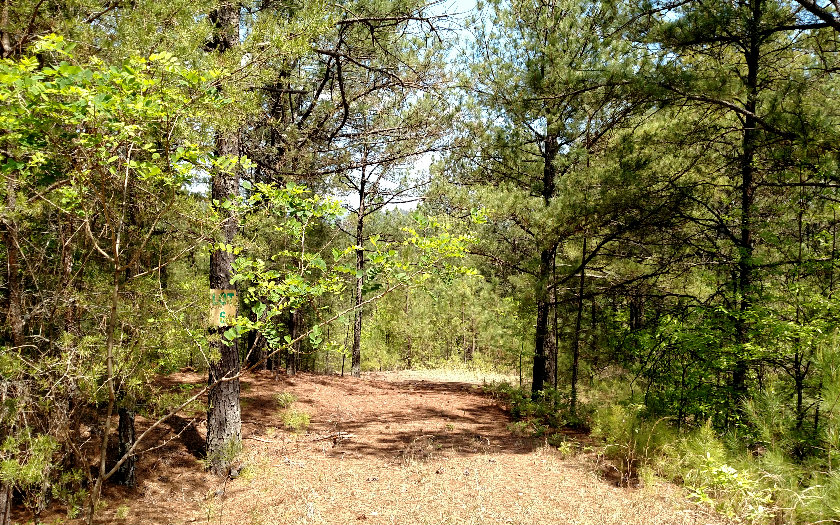 L-6 Highland Woods