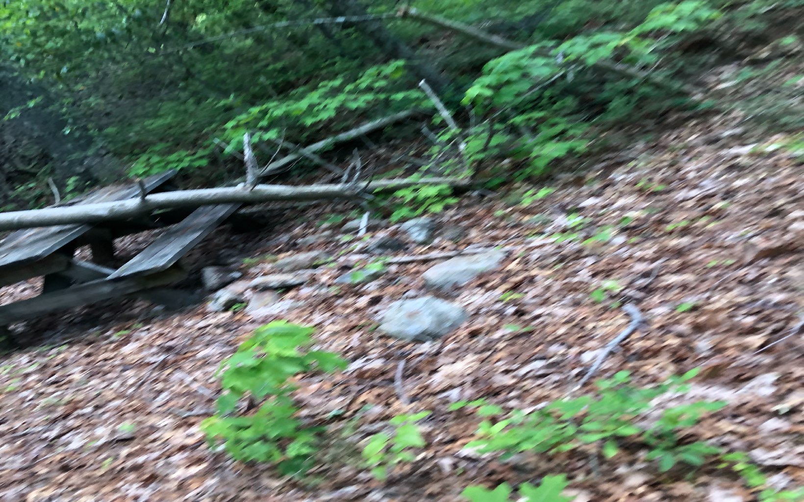 16.08 Hatley Creek