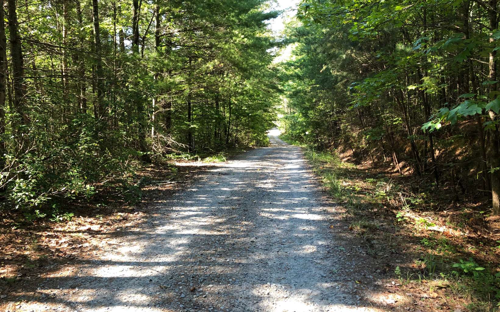LOT 8 Mountain Laurel Lane