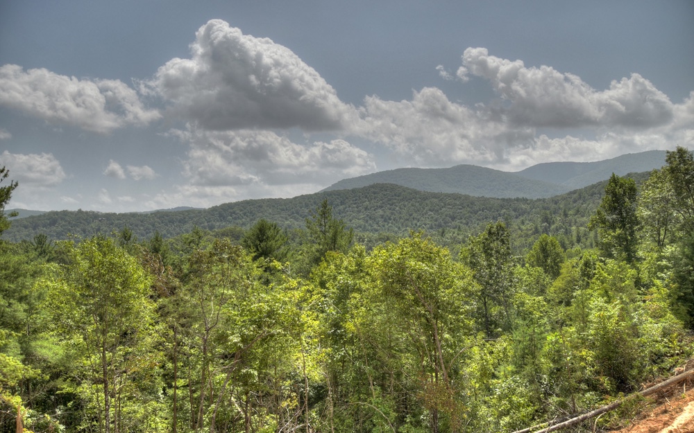 LOT 9 Majestic View
