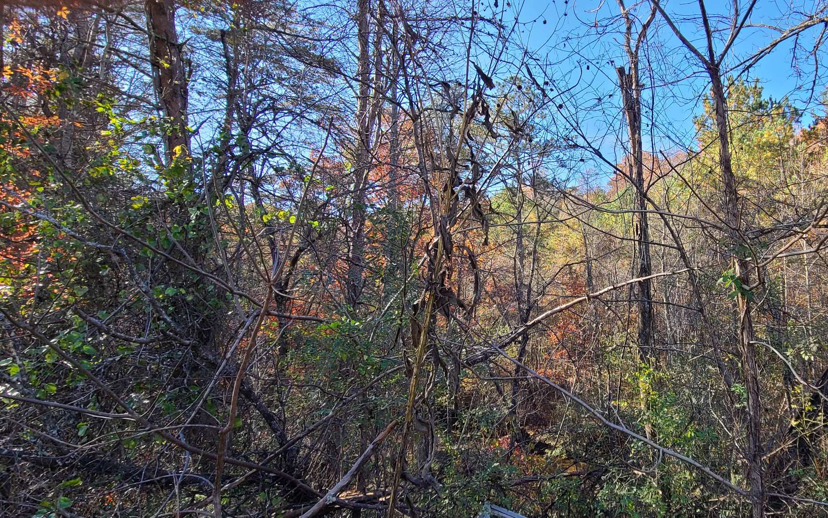 38ACS Wolf Creek Road