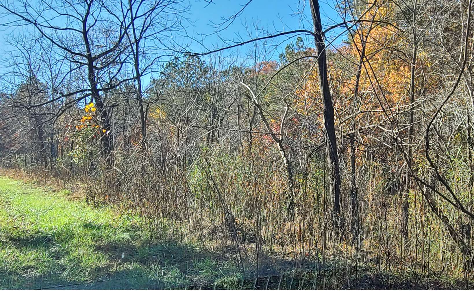 38ACS Wolf Creek Road