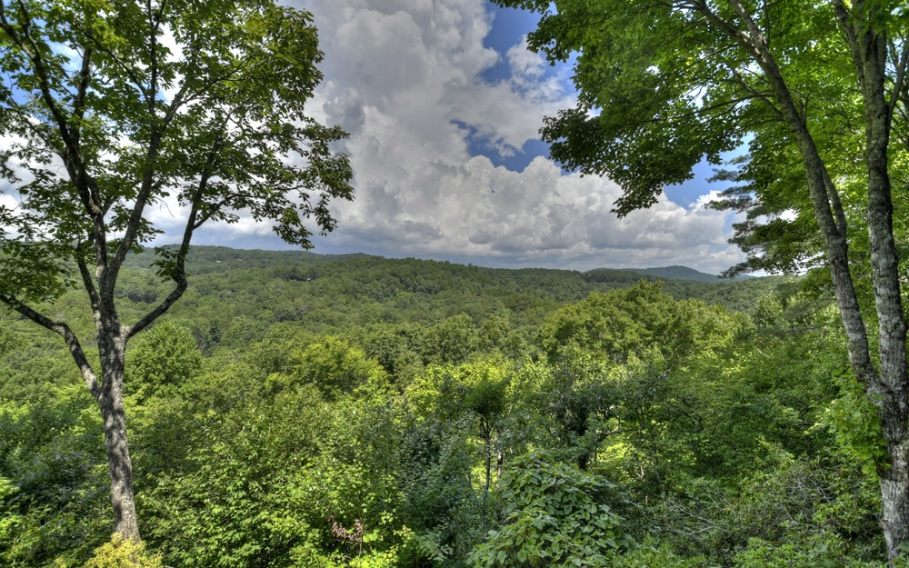 237 Dupont Drive