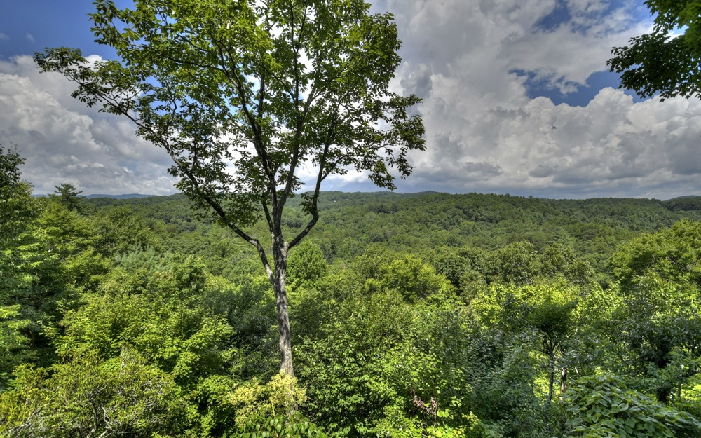 237 Dupont Drive
