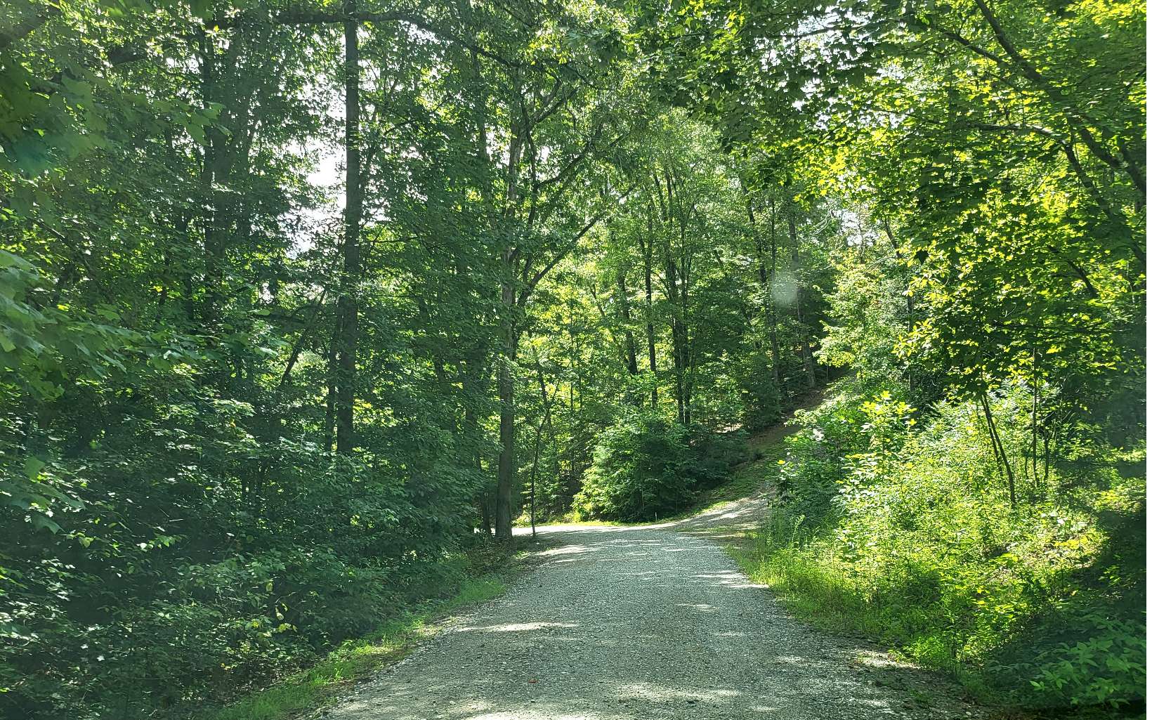 550 Tsalagi Trail