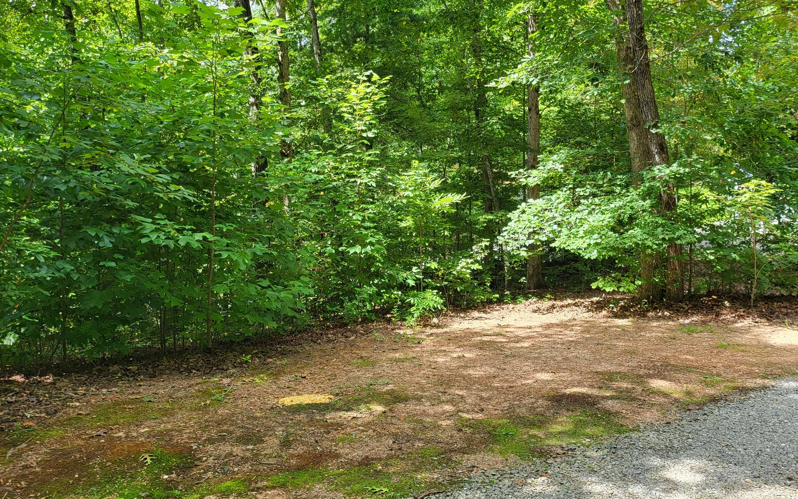 550 Tsalagi Trail