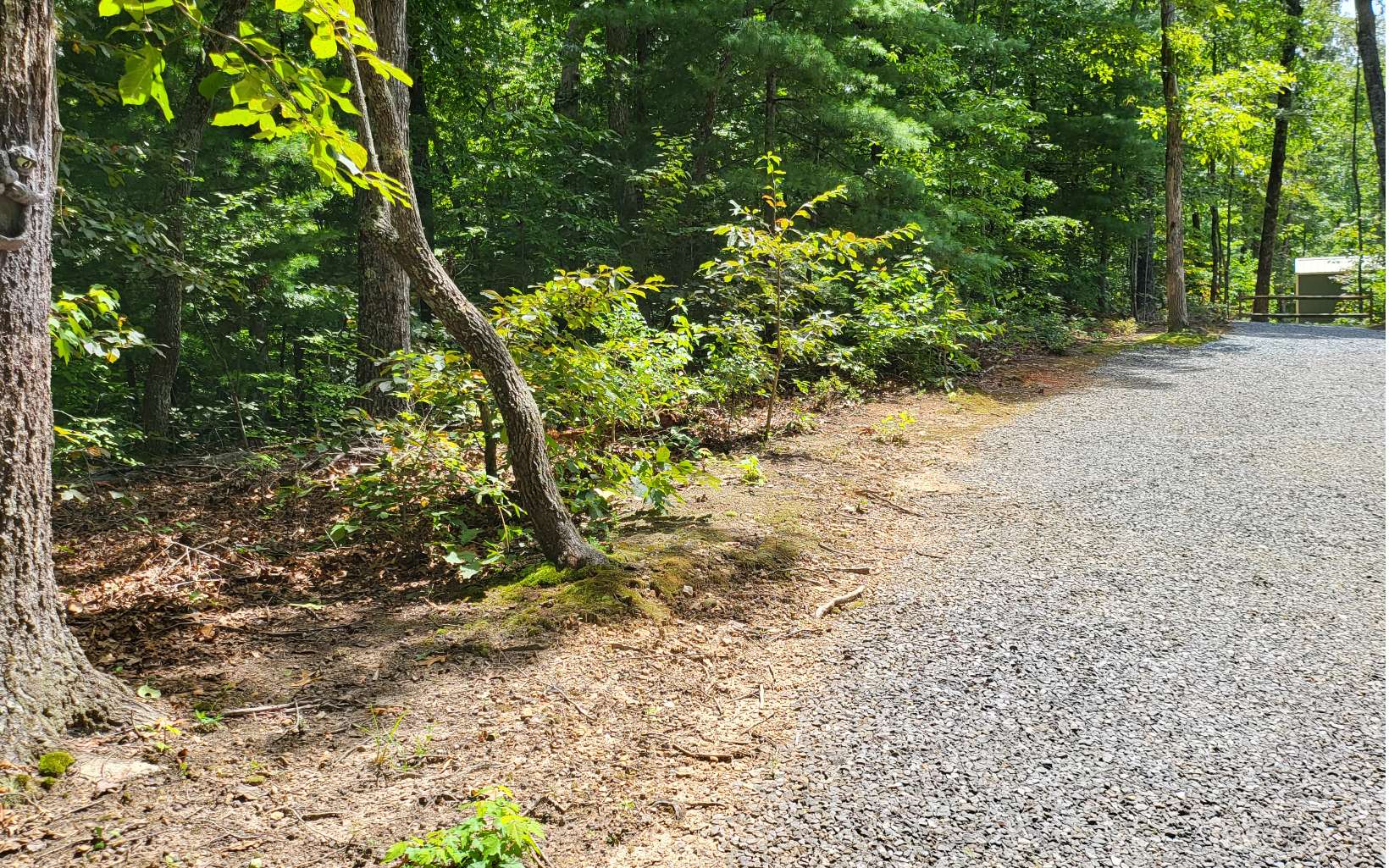 550 Tsalagi Trail