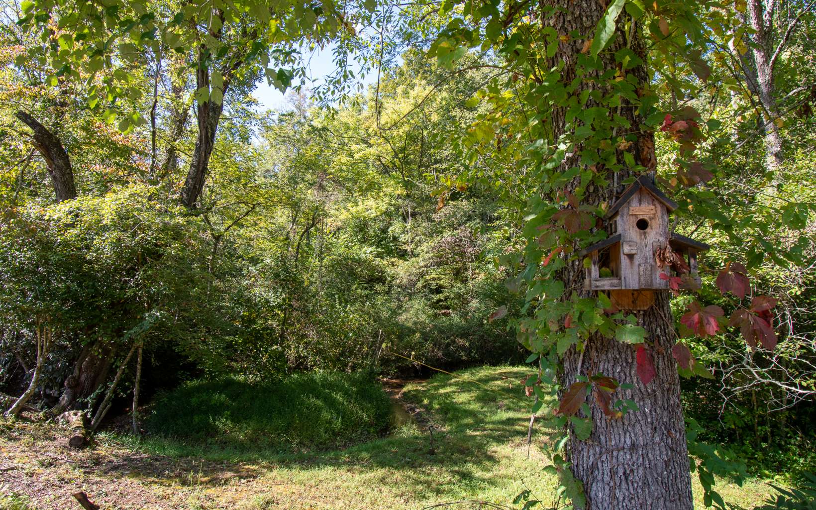 80 Kate's Cove Road