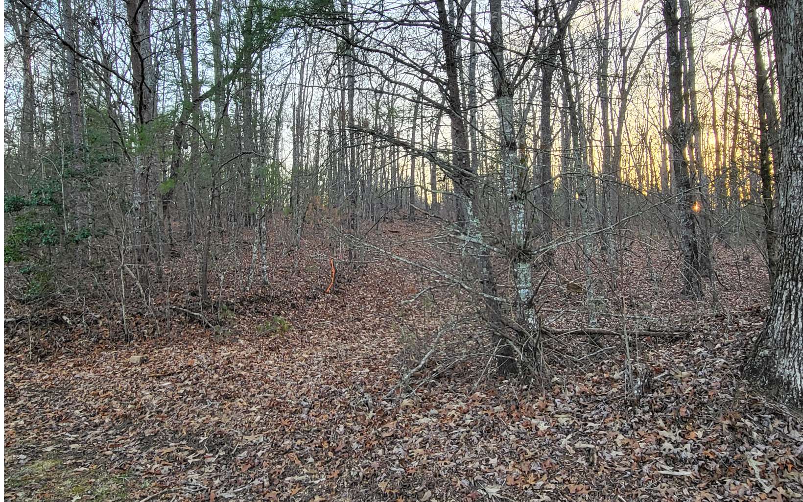 45ACS New Hope Road