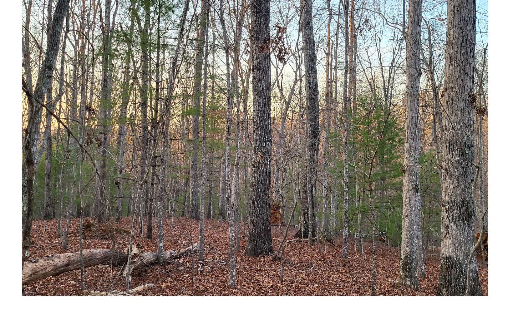 45ACS New Hope Road