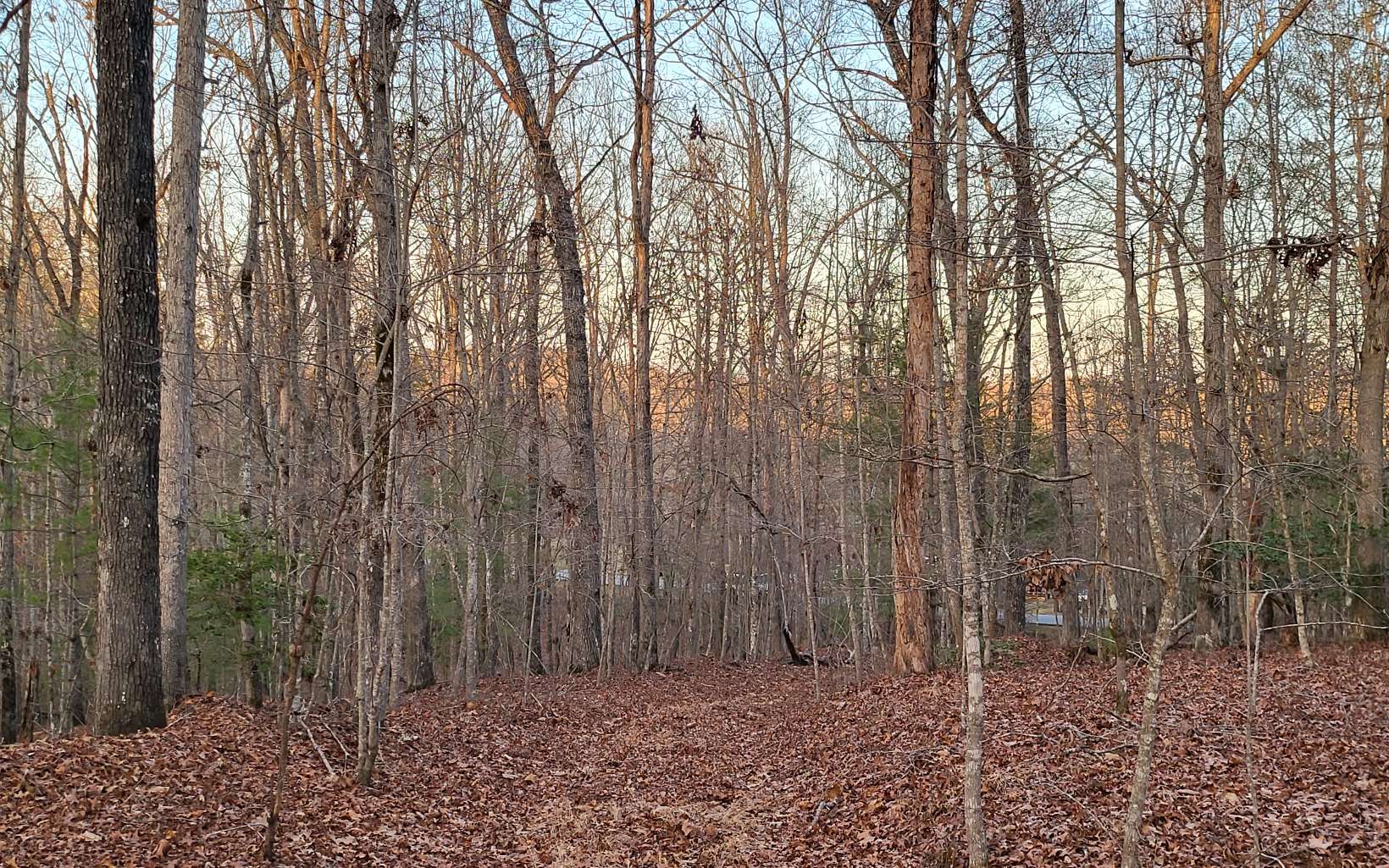45ACS New Hope Road