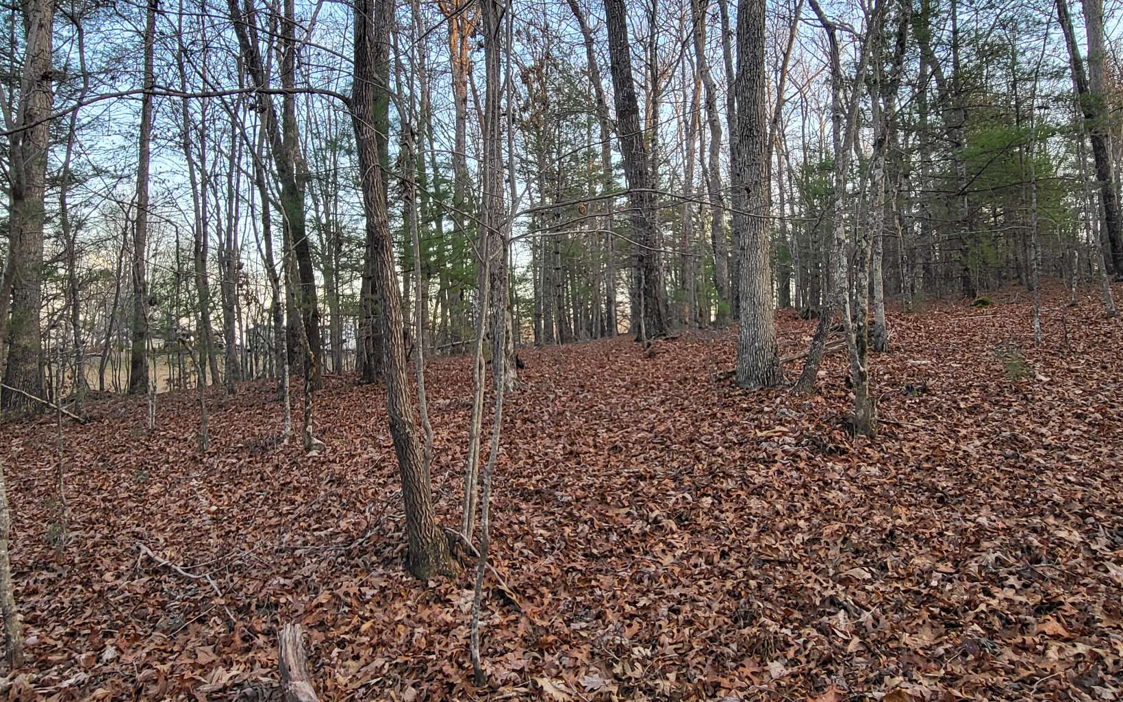 45ACS New Hope Road