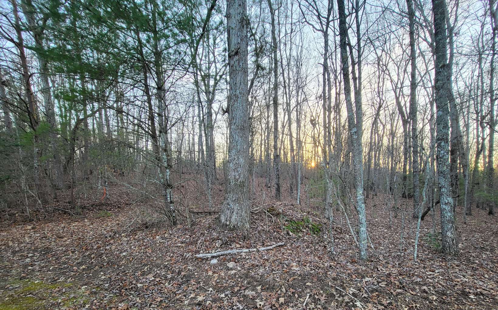 45ACS New Hope Road